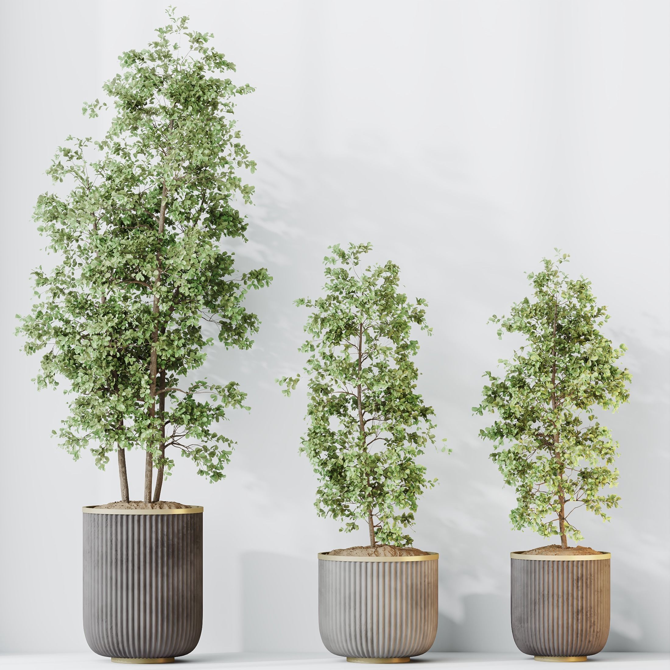 12 Different SETS of Plant Indoor SET VOL149 3D Model Collection_27