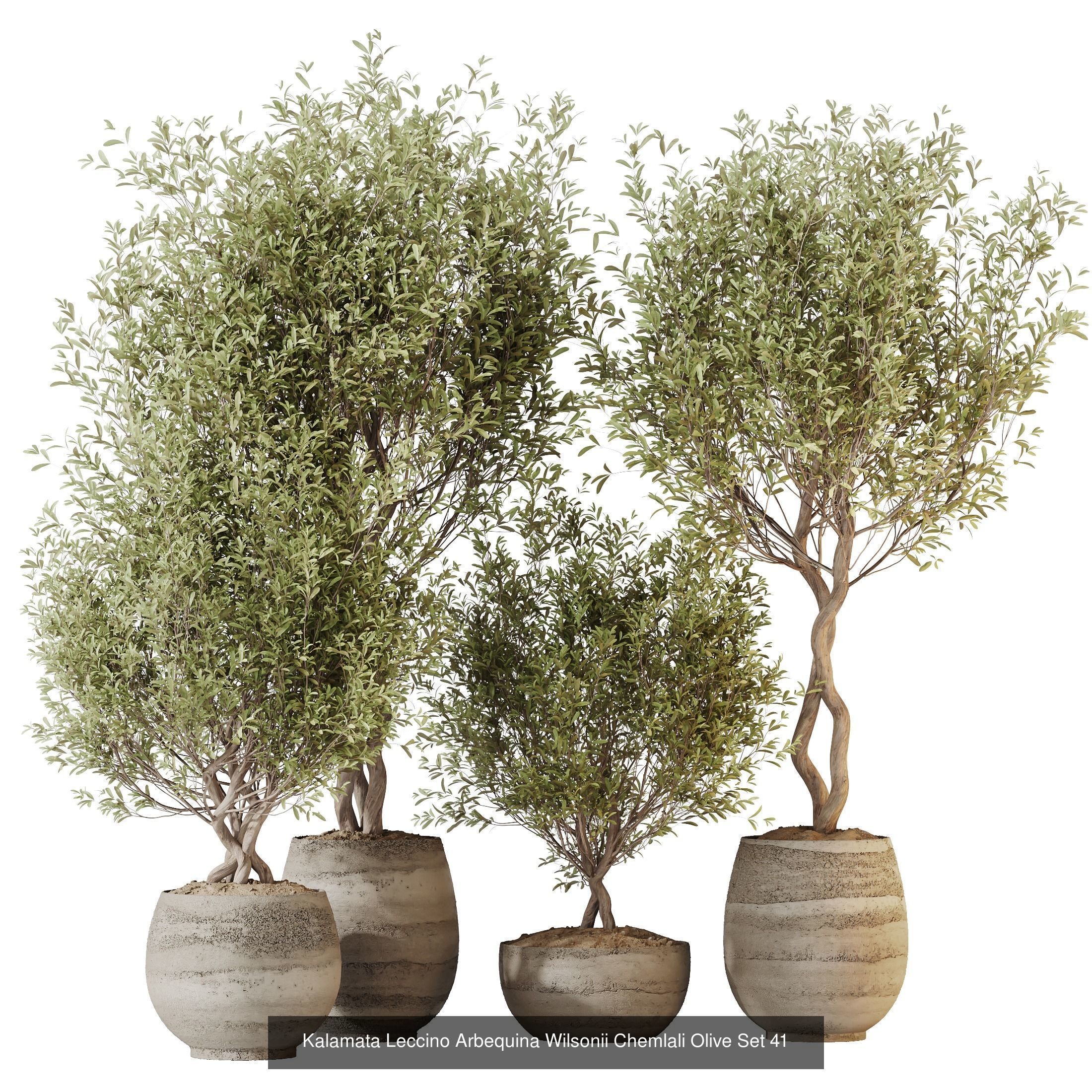 12 Different SETS of Plant Indoor SET VOL149 3D Model Collection_2