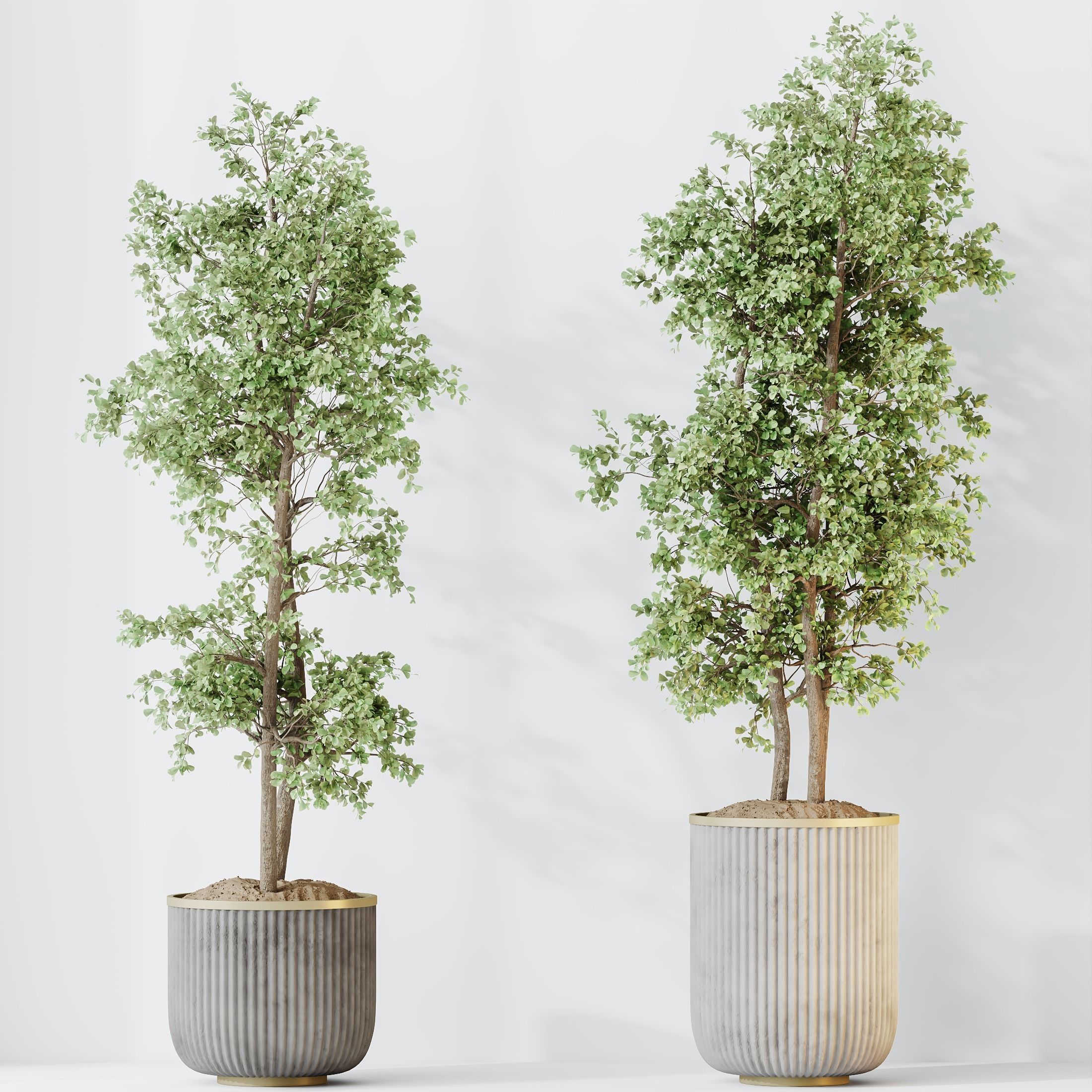 12 Different SETS of Plant Indoor SET VOL149 3D Model Collection_24