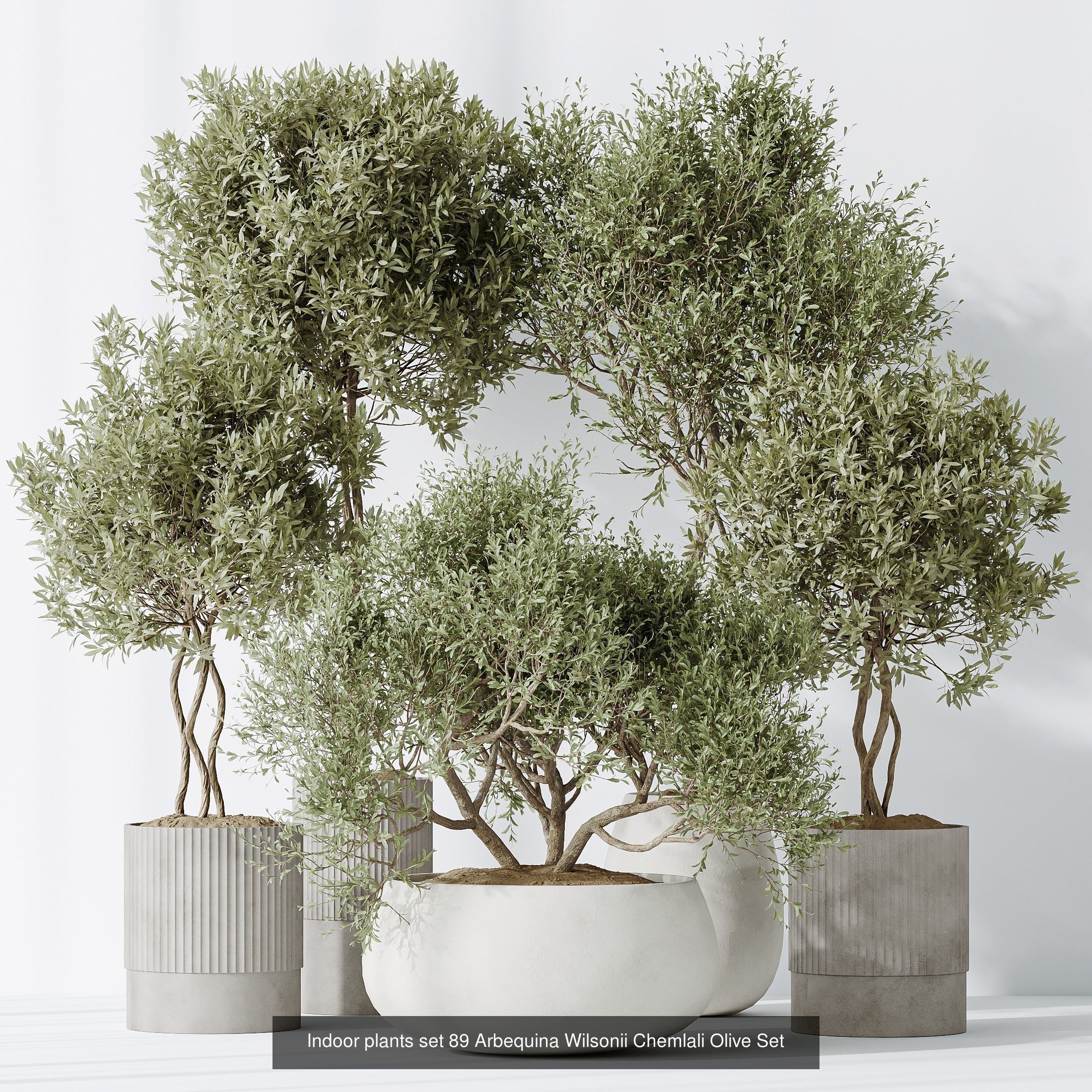 12 Different SETS of Plant Indoor SET VOL149 3D Model Collection_4