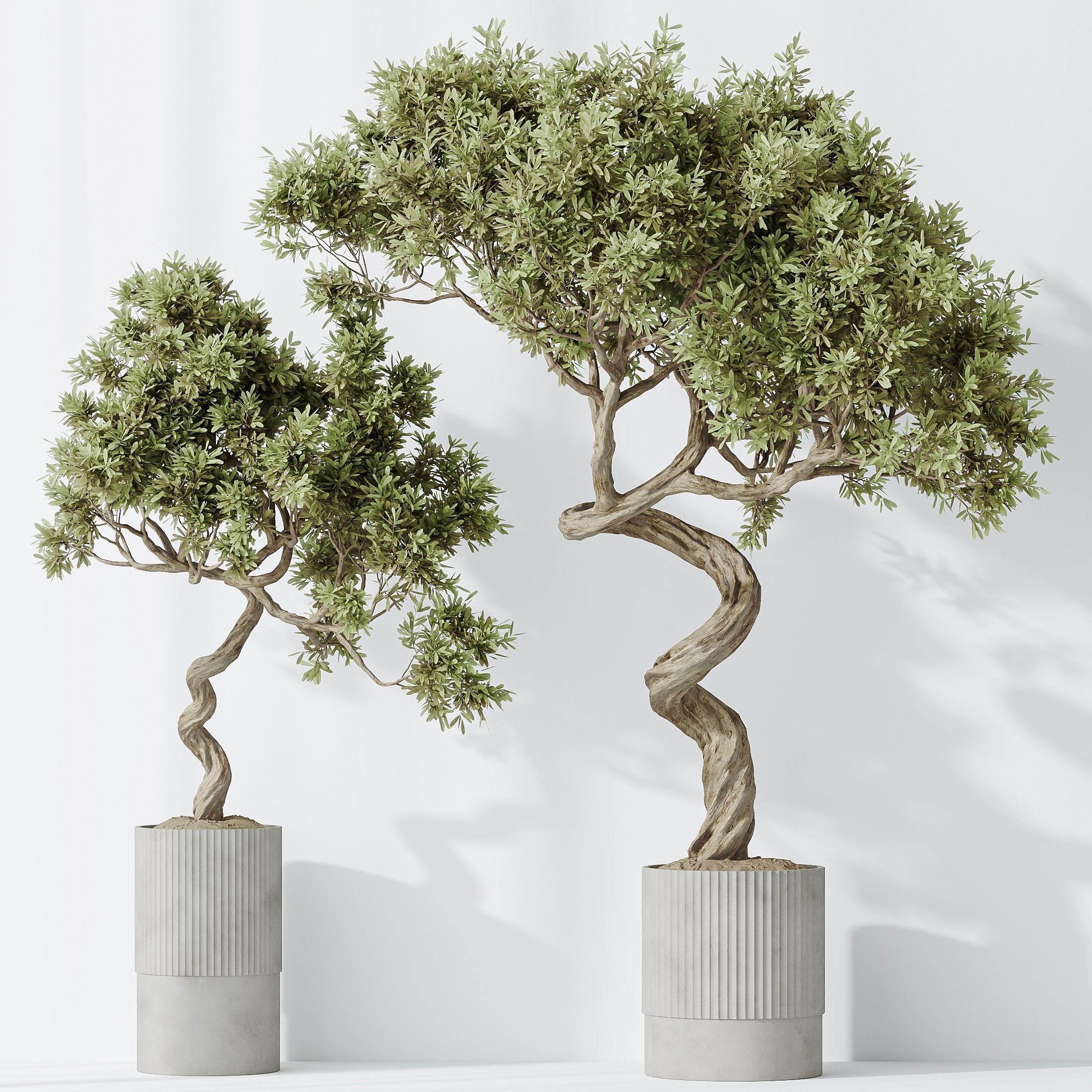 12 Different SETS of Plant Indoor SET VOL149 3D Model Collection_28