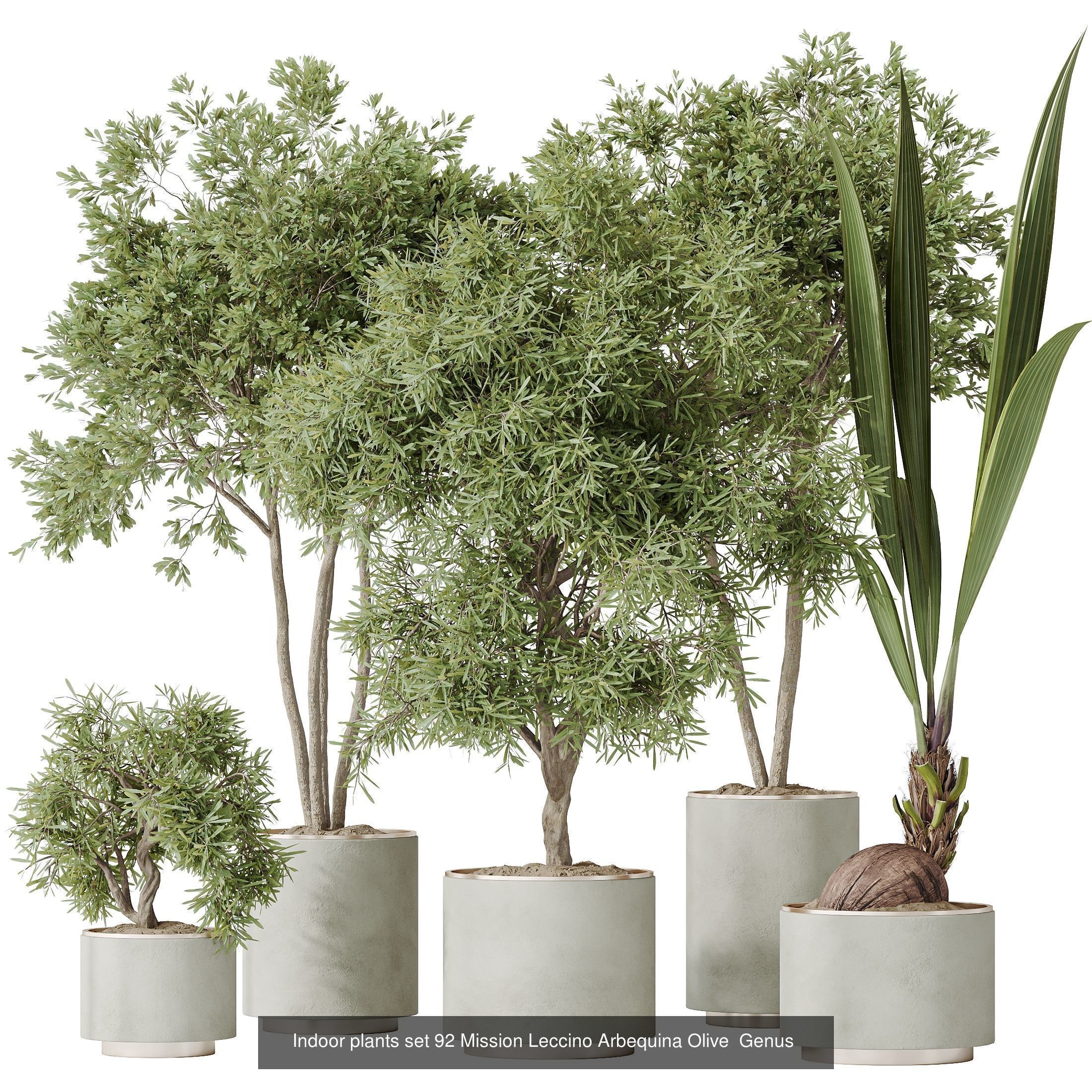 12 Different SETS of Plant Indoor SET VOL149 3D Model Collection_9