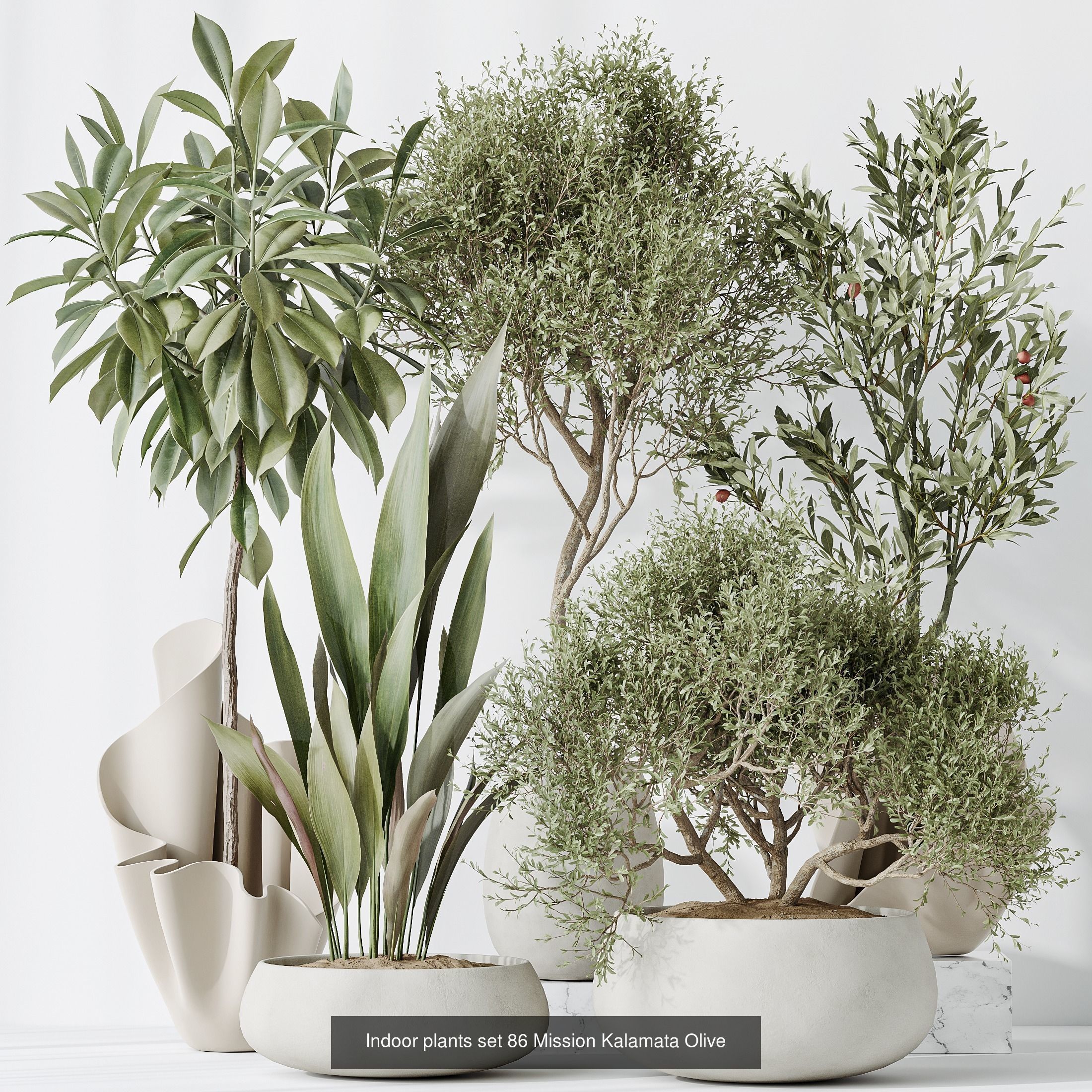 12 Different SETS of Plant Indoor SET VOL149 3D Model Collection_1