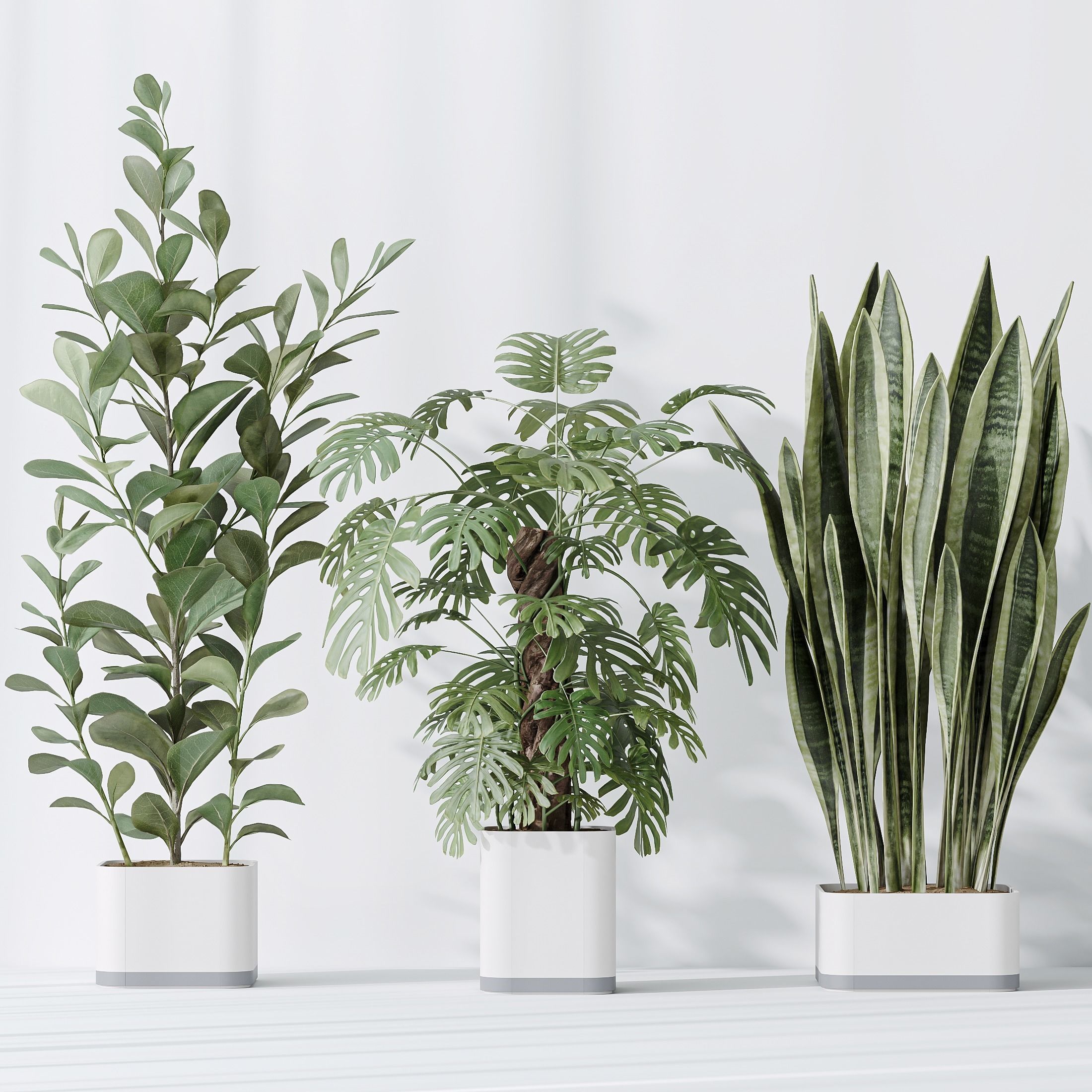 12 Different SETS of Plant Indoor SET VOL149 3D Model Collection_18