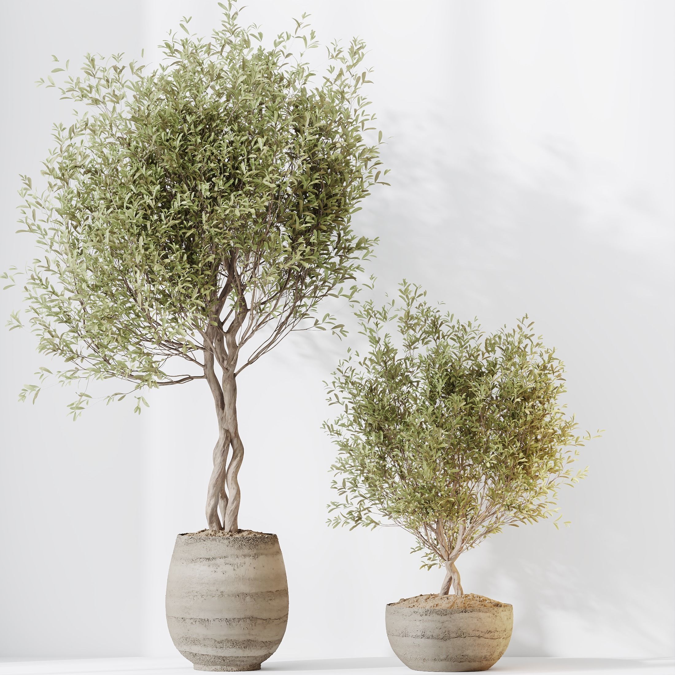 12 Different SETS of Plant Indoor SET VOL149 3D Model Collection_36