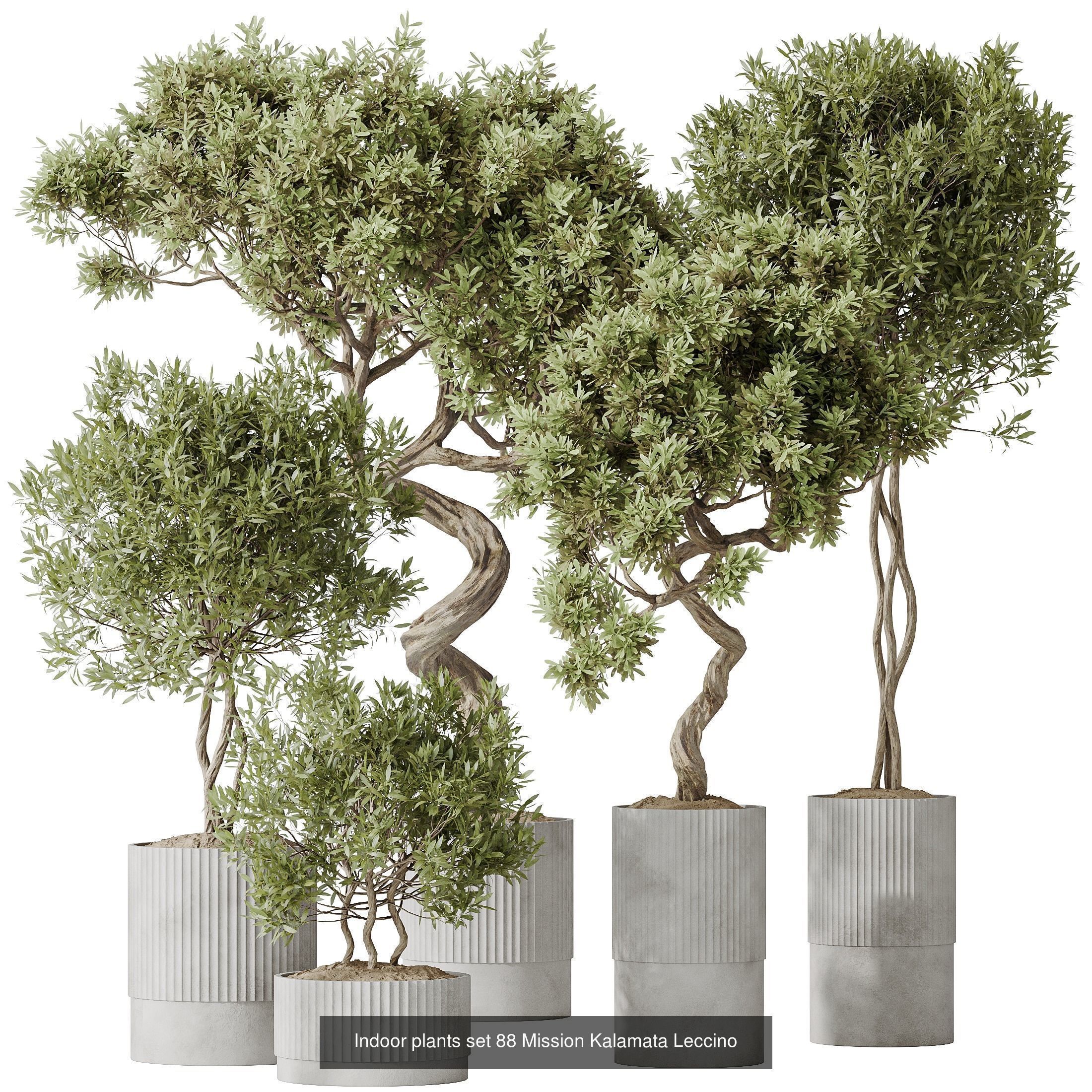 12 Different SETS of Plant Indoor SET VOL149 3D Model Collection_10