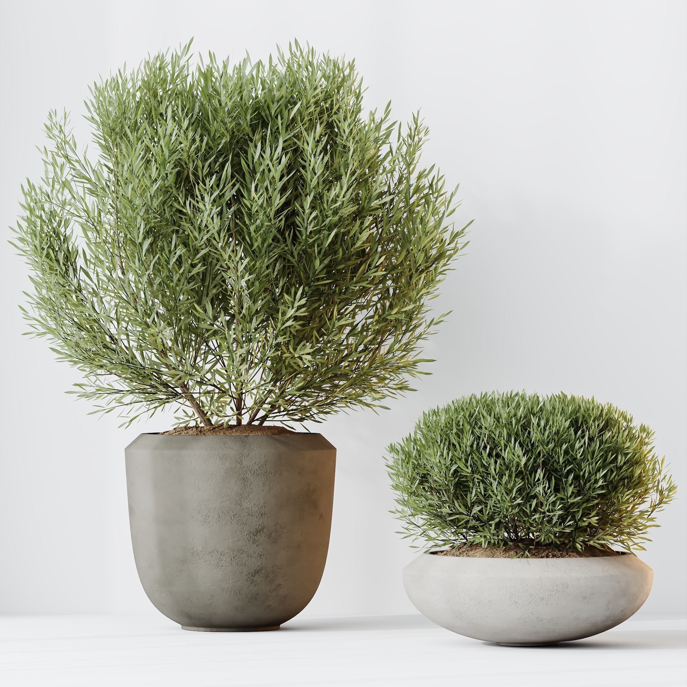 12 Different SETS of Plant Indoor SET VOL149 3D Model Collection_32