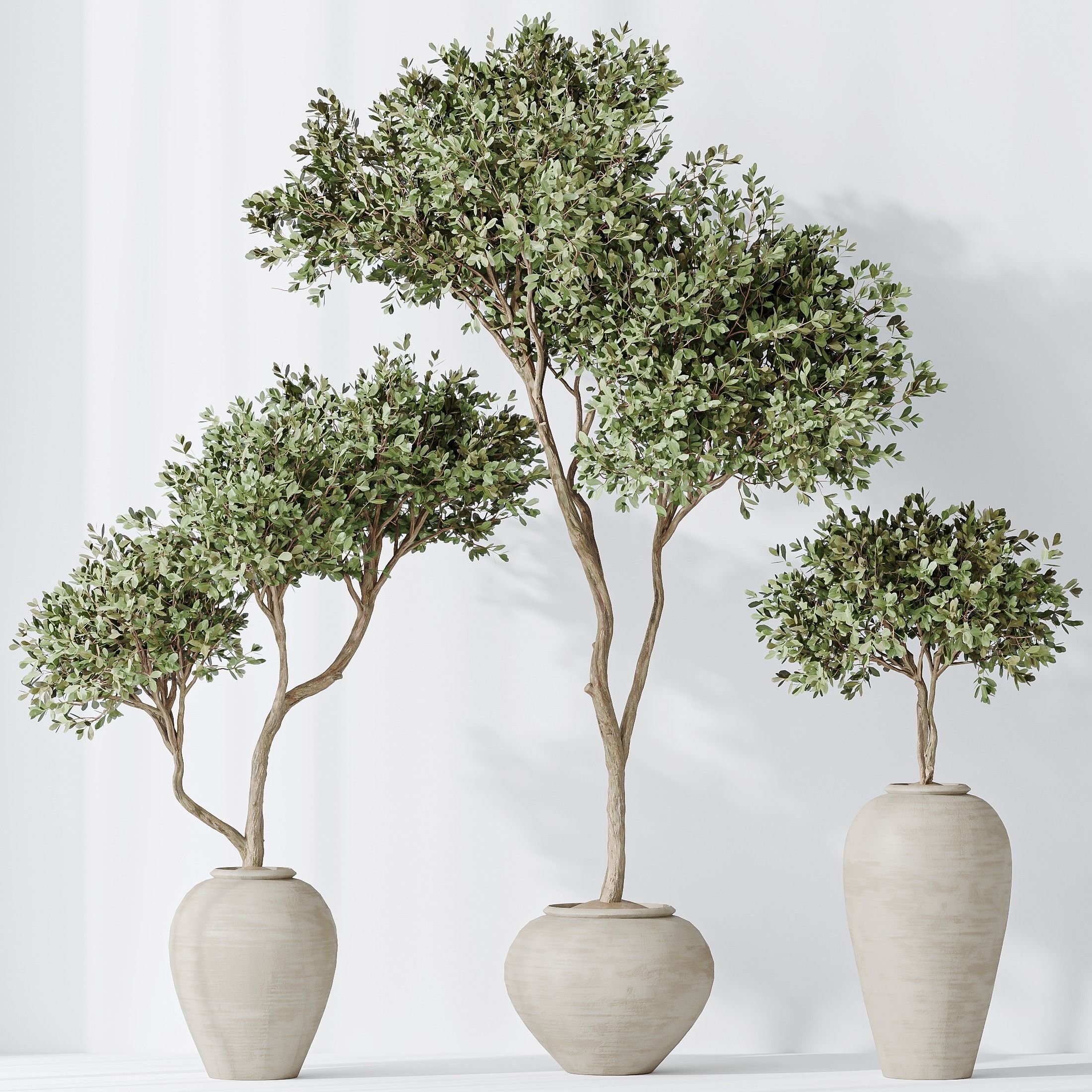 12 Different SETS of Plant Indoor SET VOL149 3D Model Collection_23