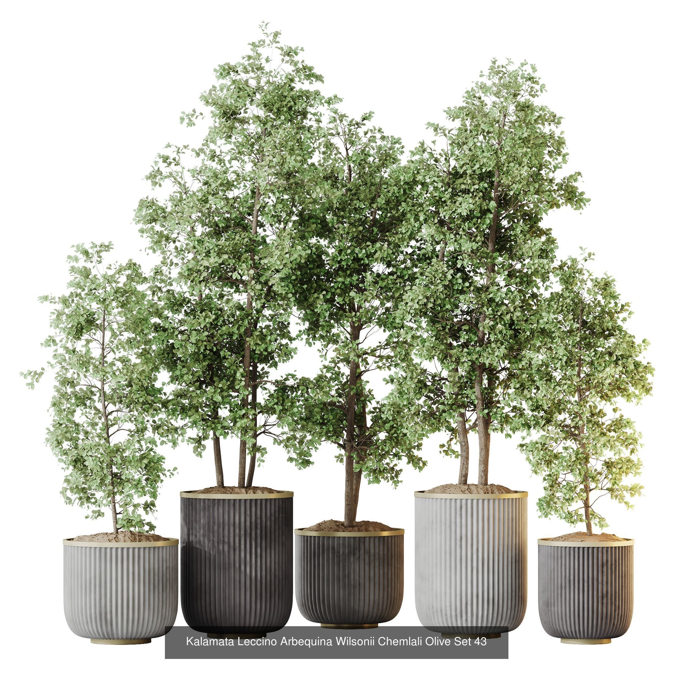 12 Different SETS of Plant Indoor SET VOL149 3D Model Collection_5