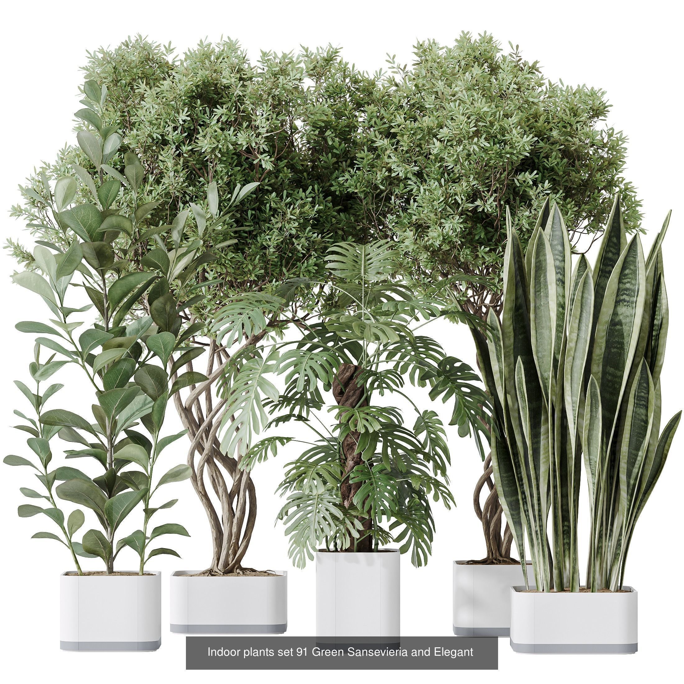 12 Different SETS of Plant Indoor SET VOL149 3D Model Collection_8