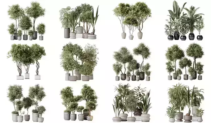 12 Different SETS of Plant Indoor SET VOL150 3D Model Collection
