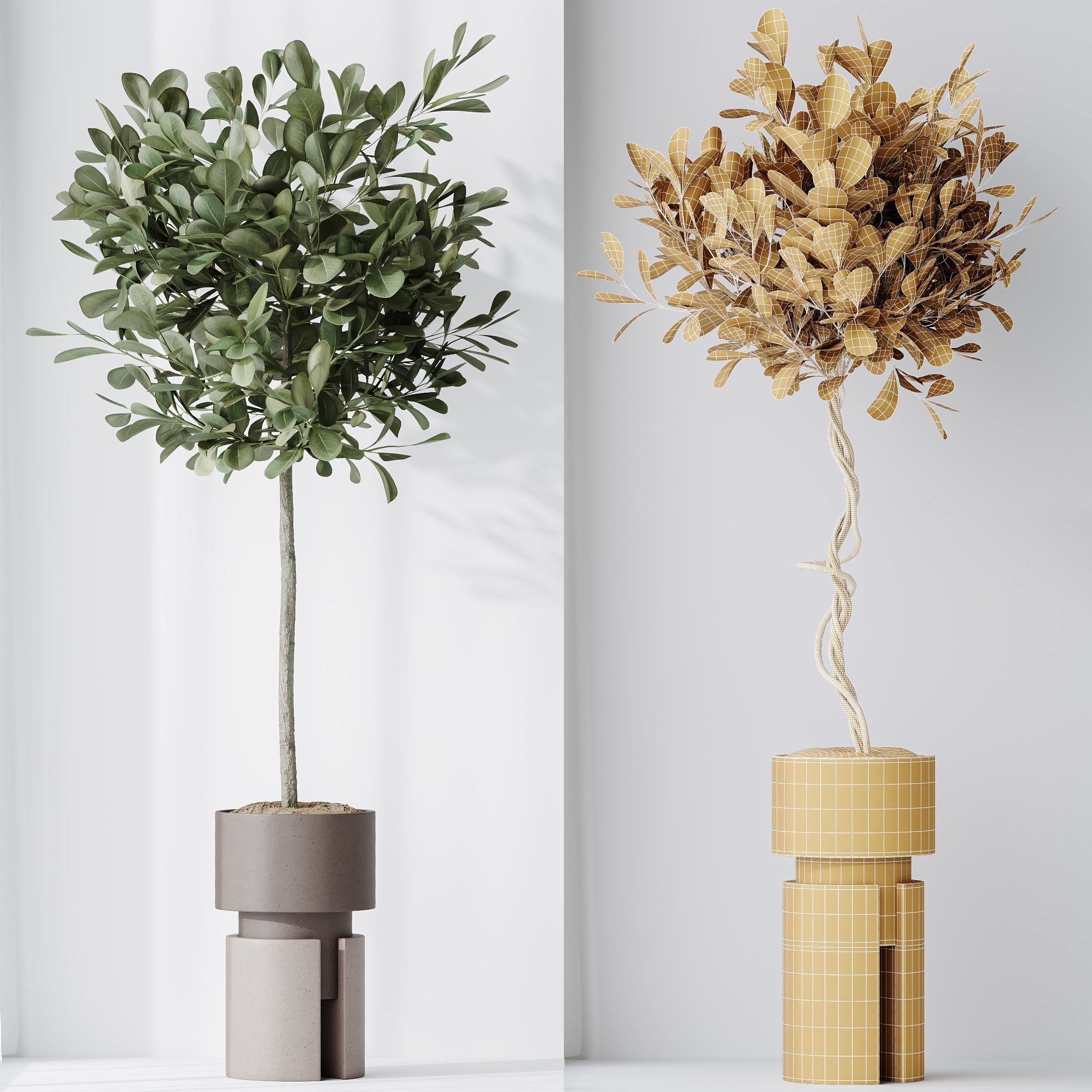 12 Different SETS of Plant Indoor SET VOL151 3D Model Collection_16