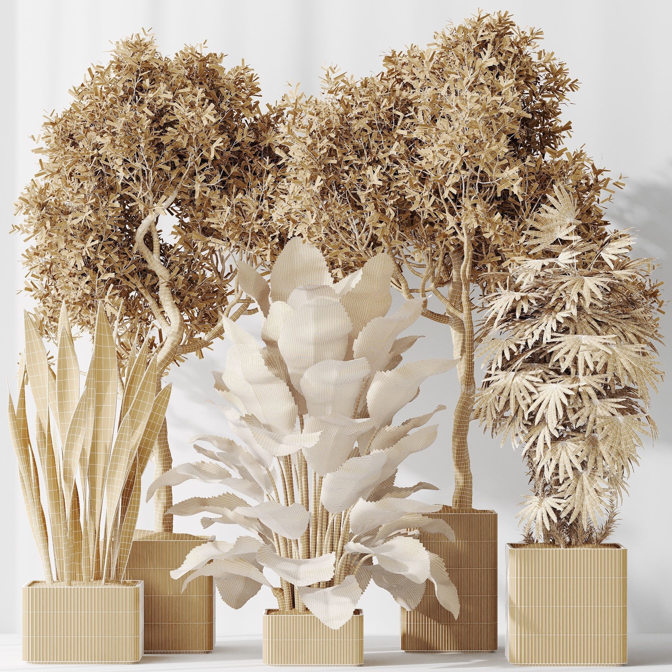 12 Different SETS of Plant Indoor SET VOL151 3D Model Collection_45