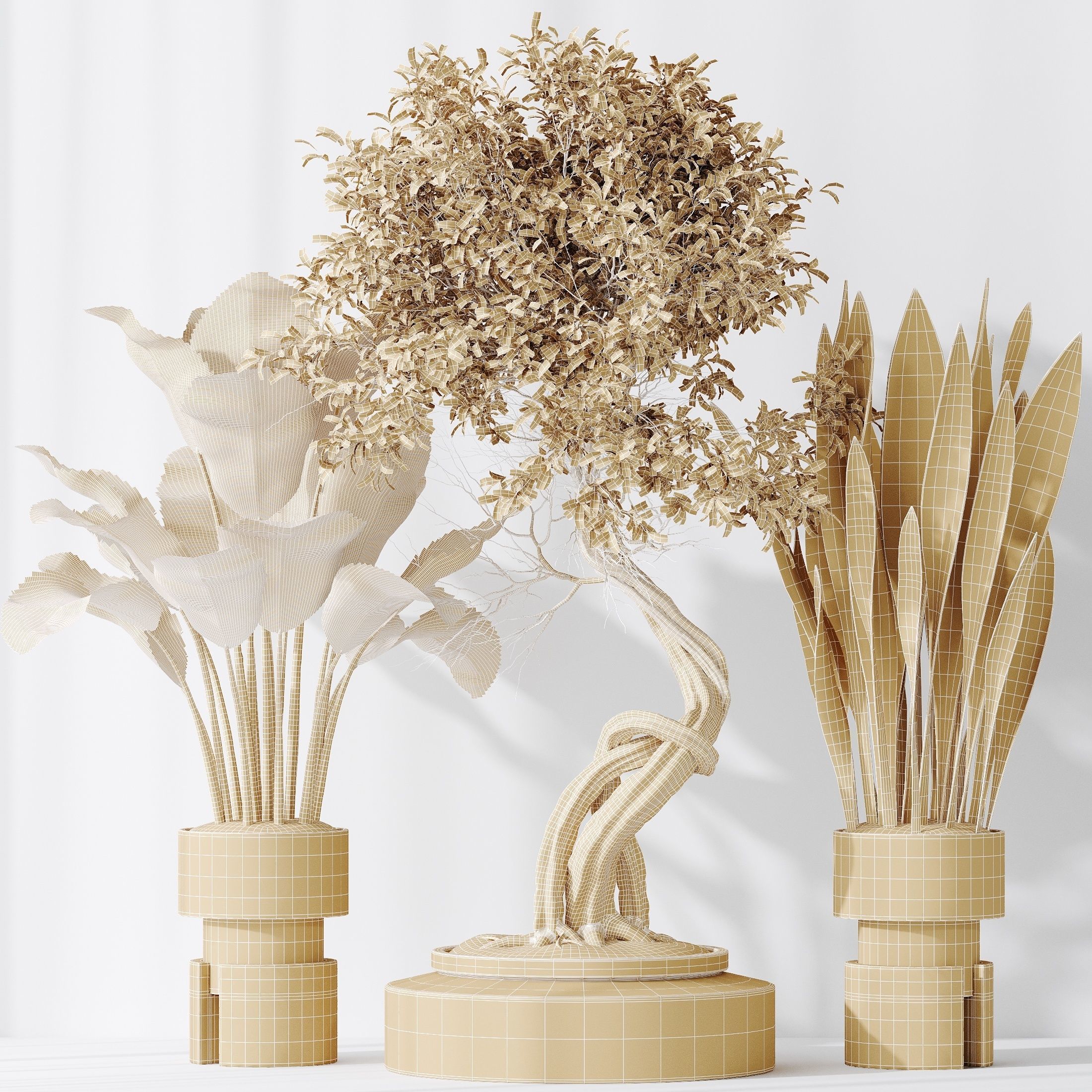 12 Different SETS of Plant Indoor SET VOL151 3D Model Collection_44