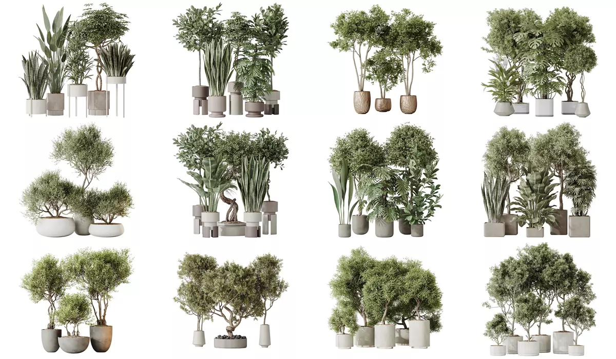 12 Different SETS of Plant Indoor SET VOL151 3D Model Collection_0