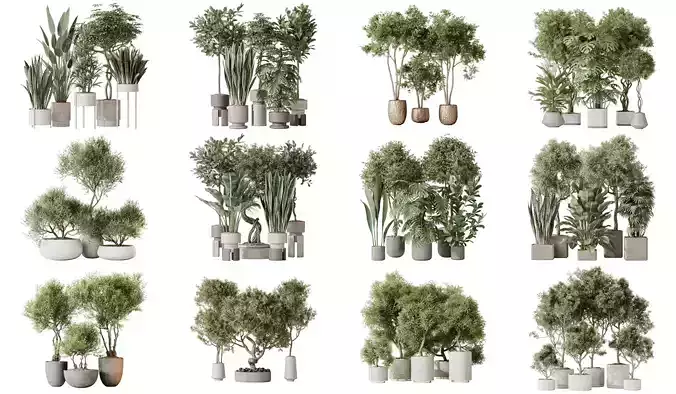 12 Different SETS of Plant Indoor SET VOL151 3D Model Collection