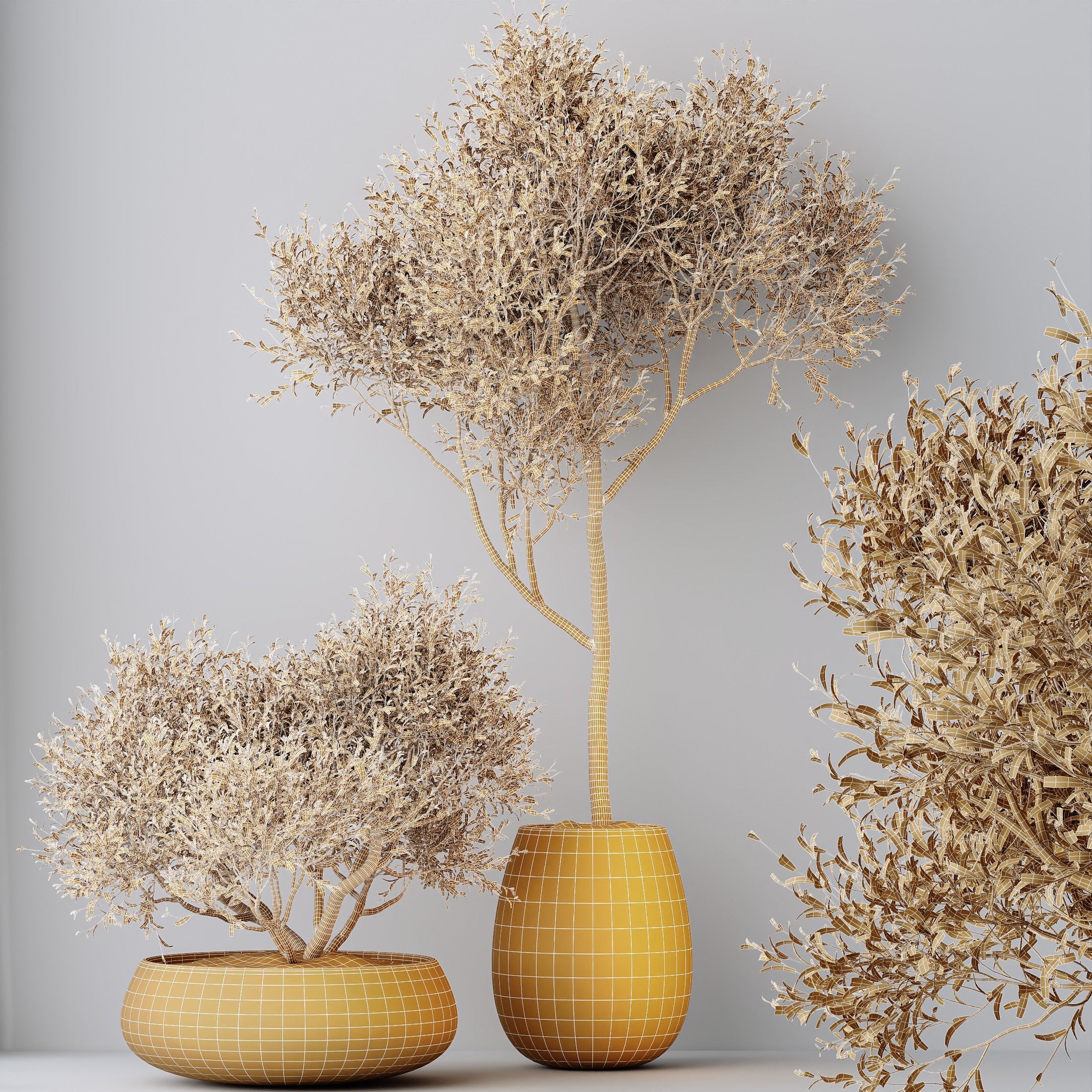 12 Different SETS of Plant Indoor SET VOL151 3D Model Collection_42