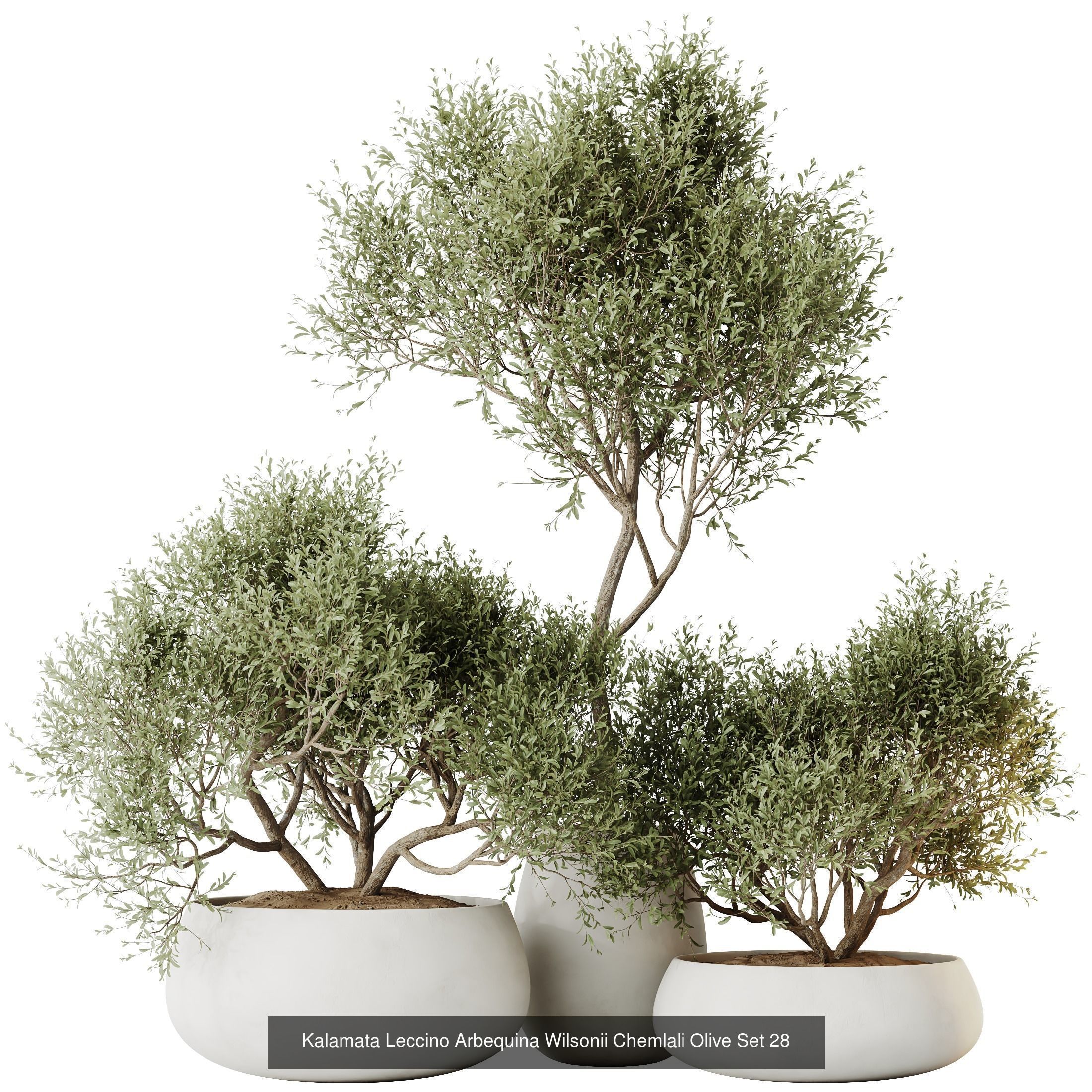 12 Different SETS of Plant Indoor SET VOL151 3D Model Collection_8