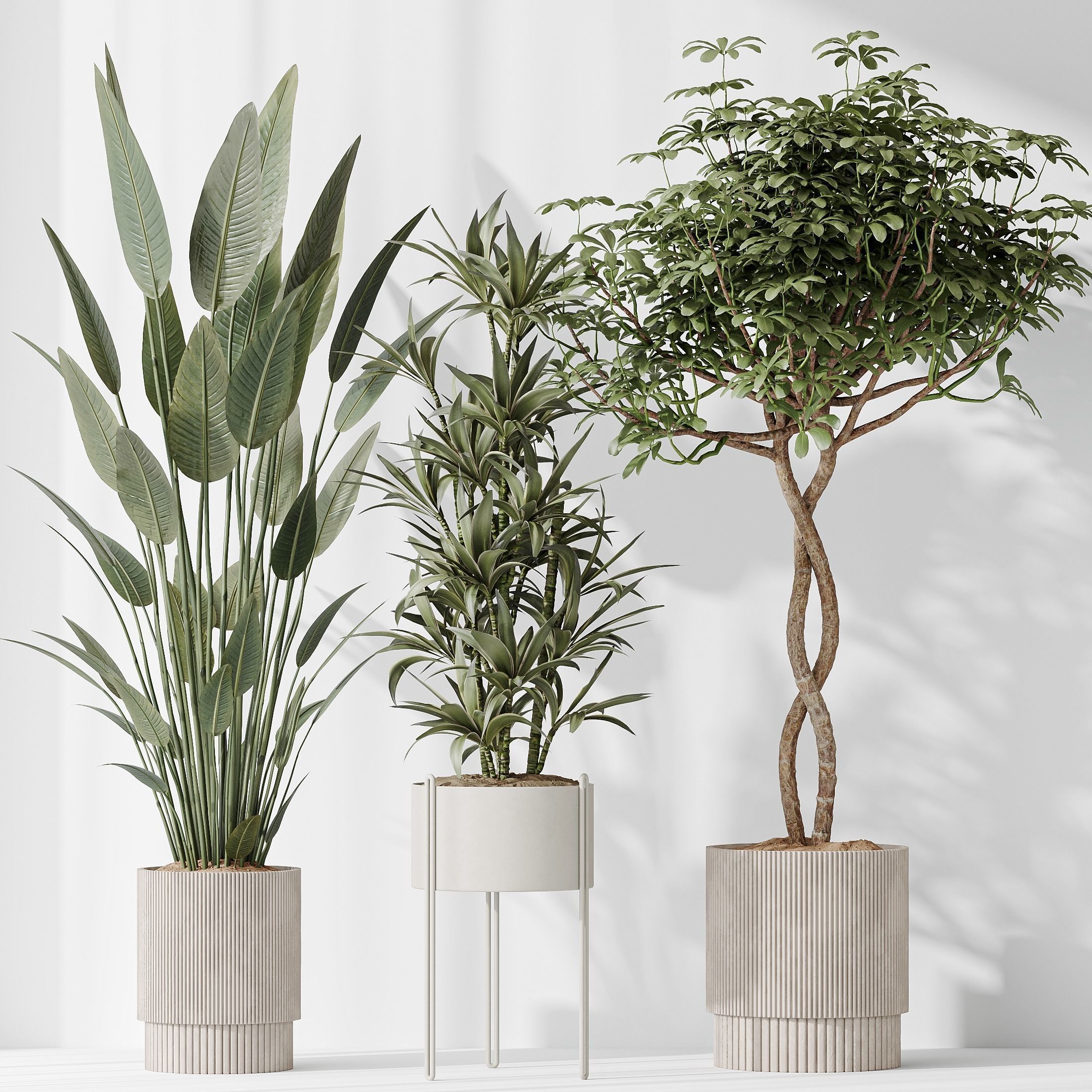 12 Different SETS of Plant Indoor SET VOL151 3D Model Collection_28