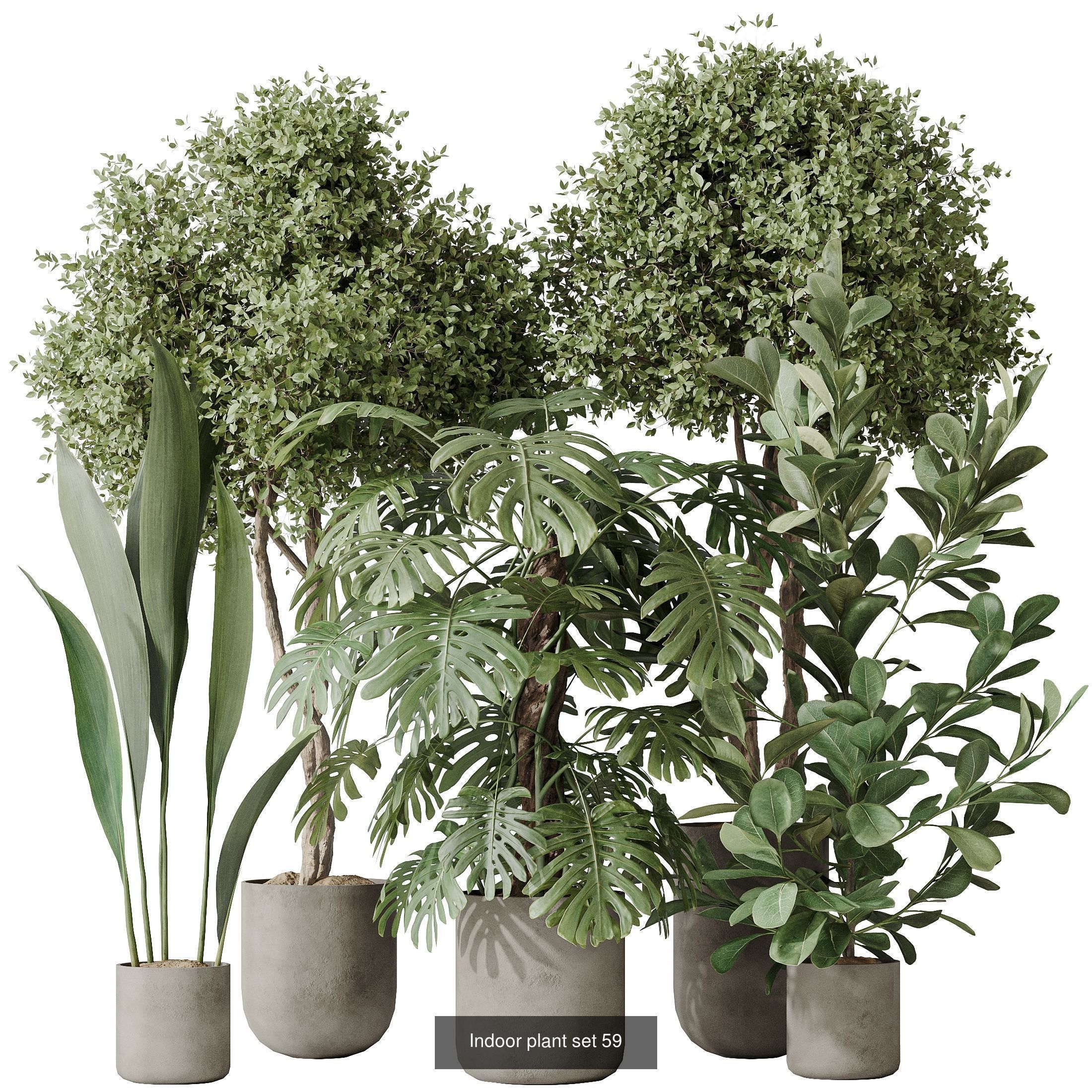 12 Different SETS of Plant Indoor SET VOL151 3D Model Collection_10