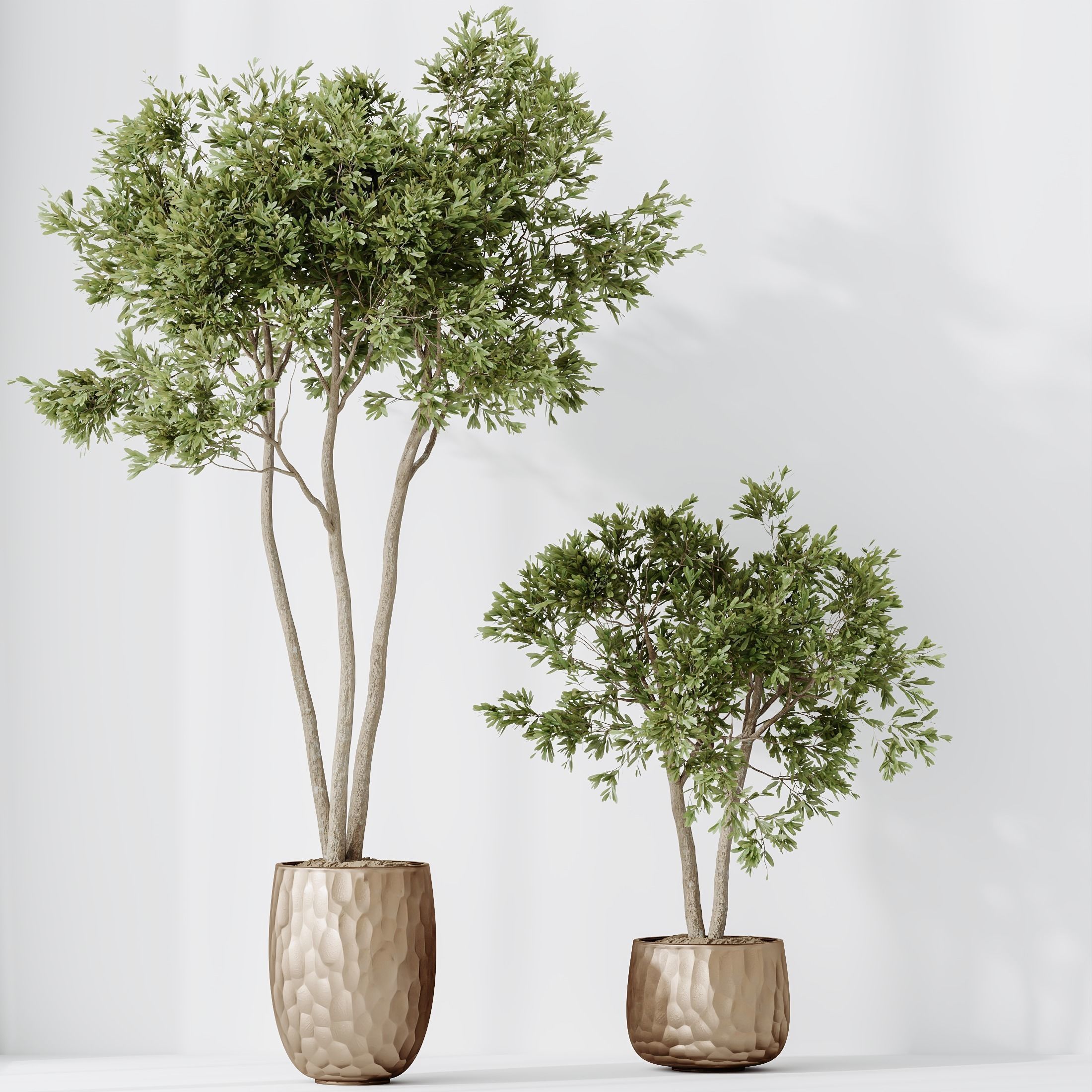 12 Different SETS of Plant Indoor SET VOL151 3D Model Collection_21