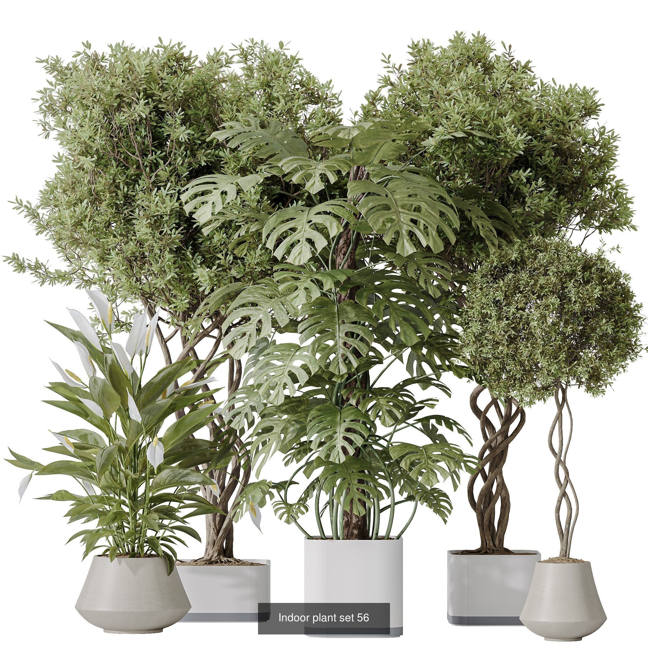 12 Different SETS of Plant Indoor SET VOL151 3D Model Collection_7