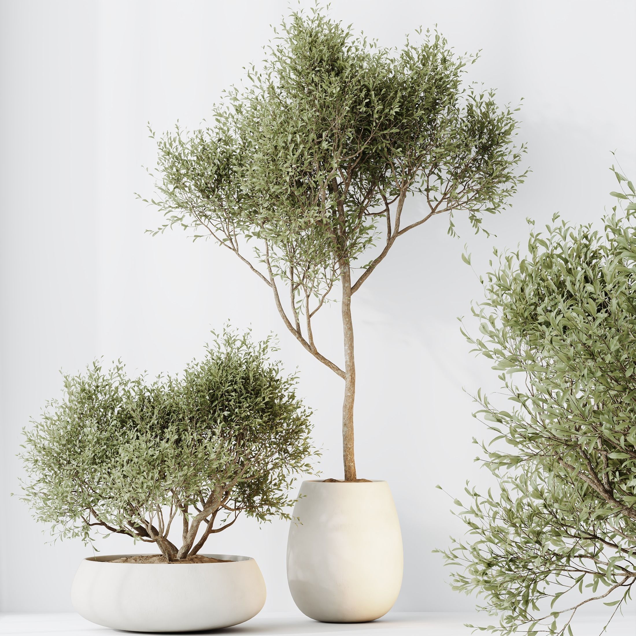 12 Different SETS of Plant Indoor SET VOL151 3D Model Collection_33