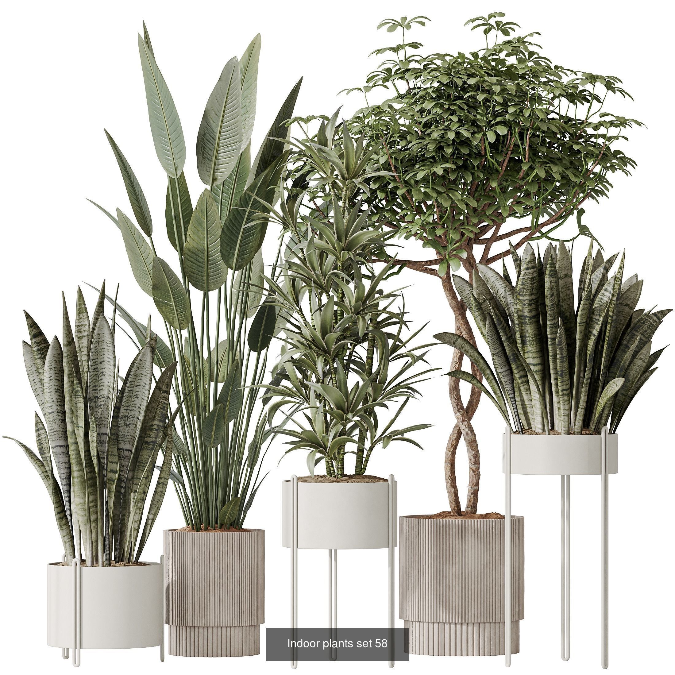 12 Different SETS of Plant Indoor SET VOL151 3D Model Collection_4
