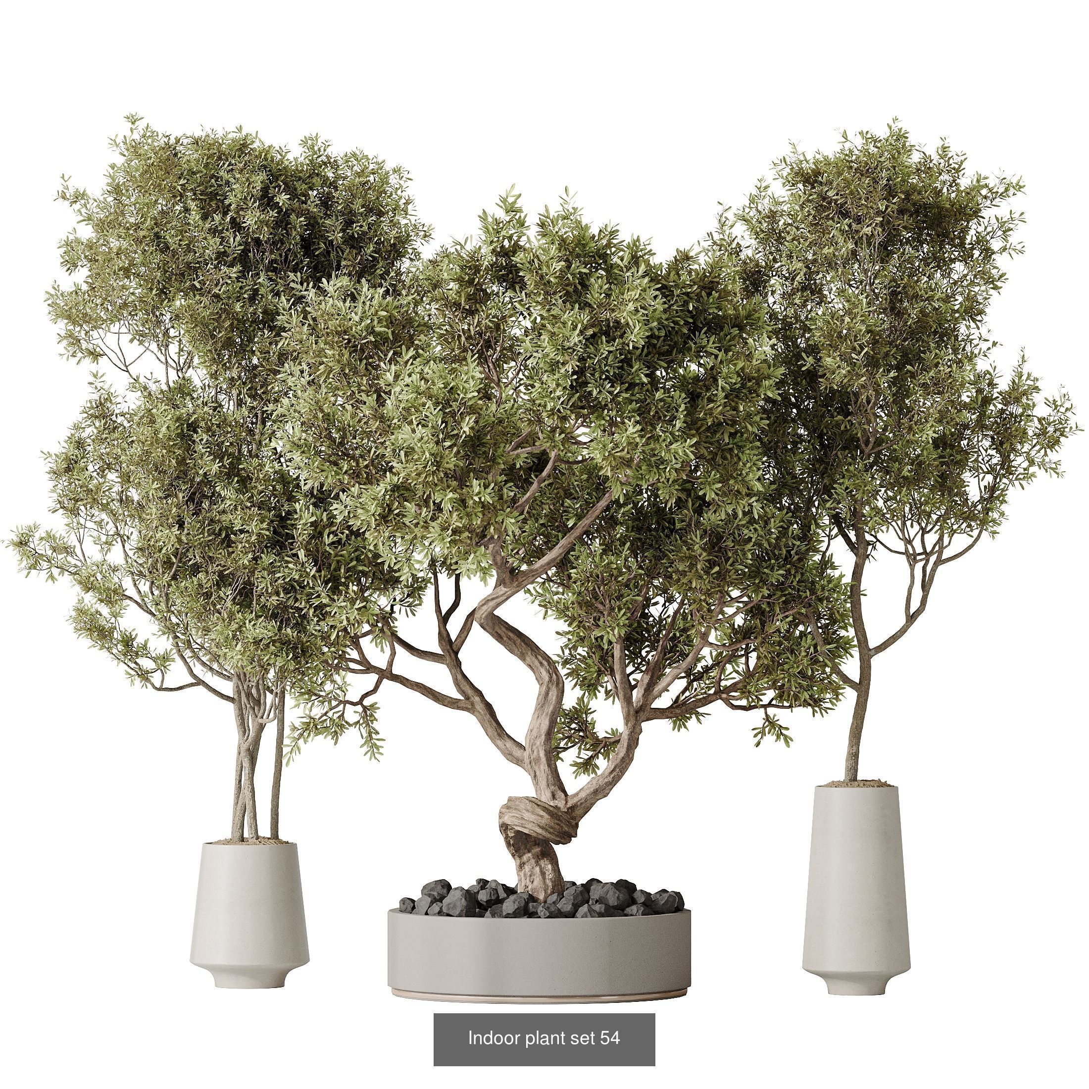 12 Different SETS of Plant Indoor SET VOL151 3D Model Collection_1