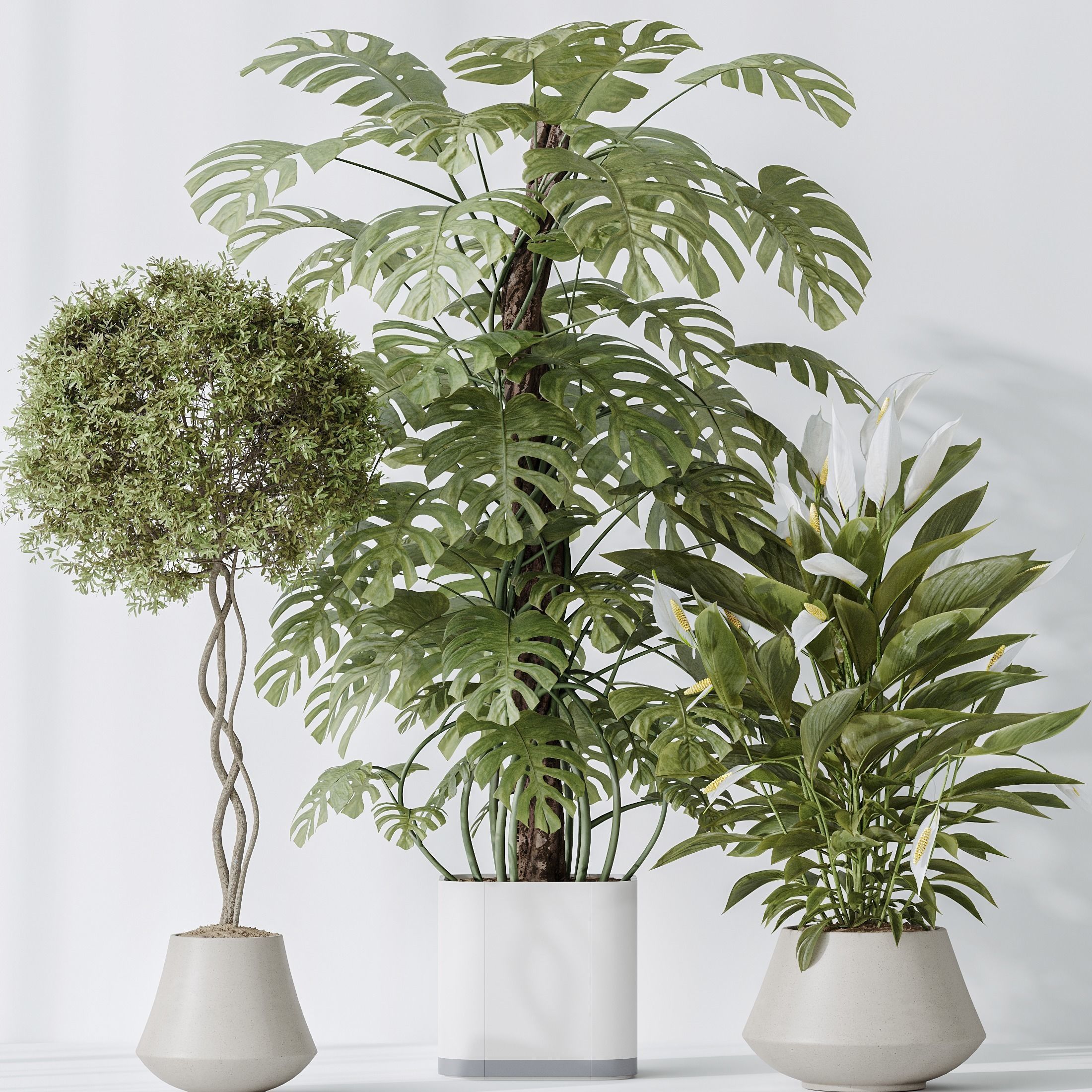 12 Different SETS of Plant Indoor SET VOL151 3D Model Collection_29