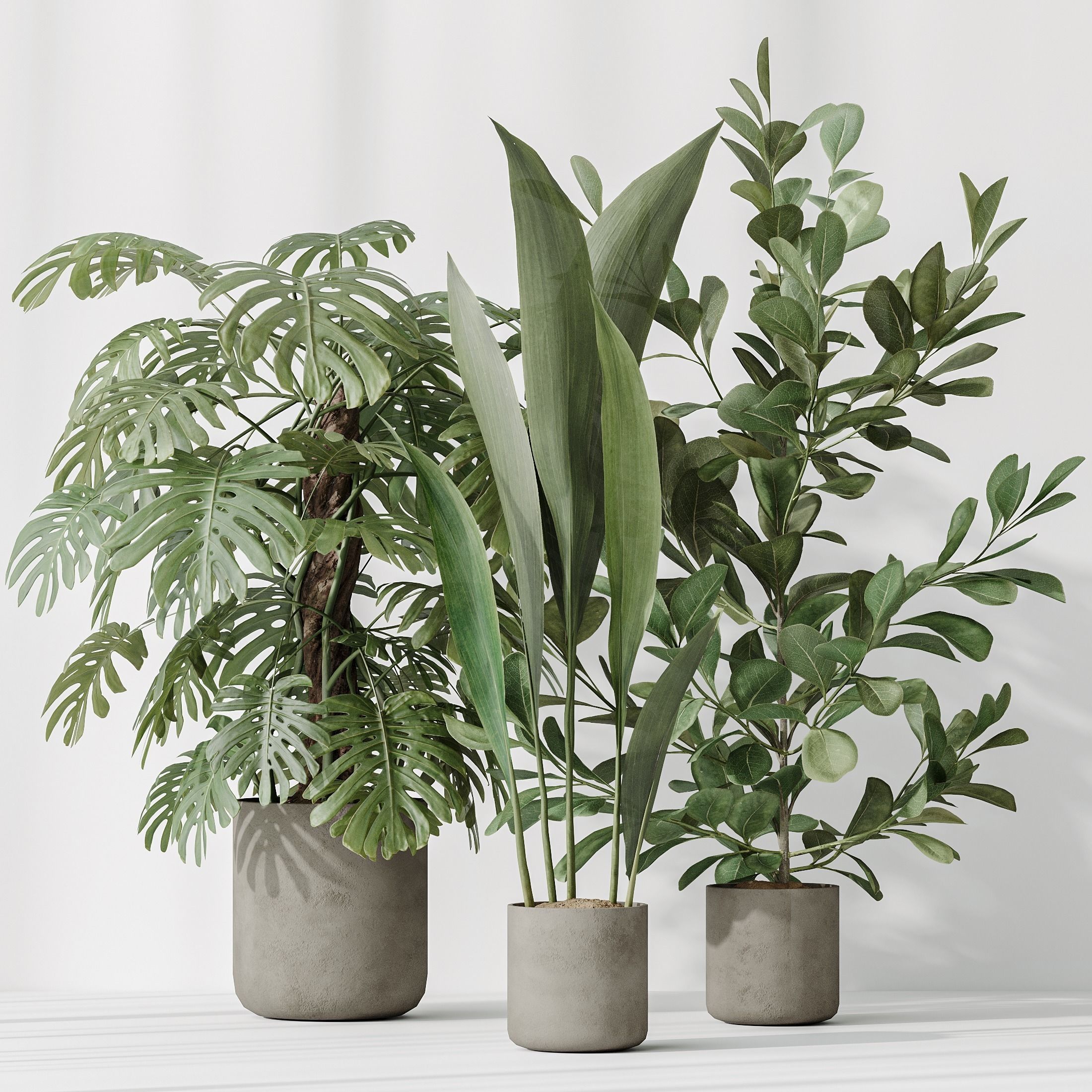 12 Different SETS of Plant Indoor SET VOL151 3D Model Collection_22