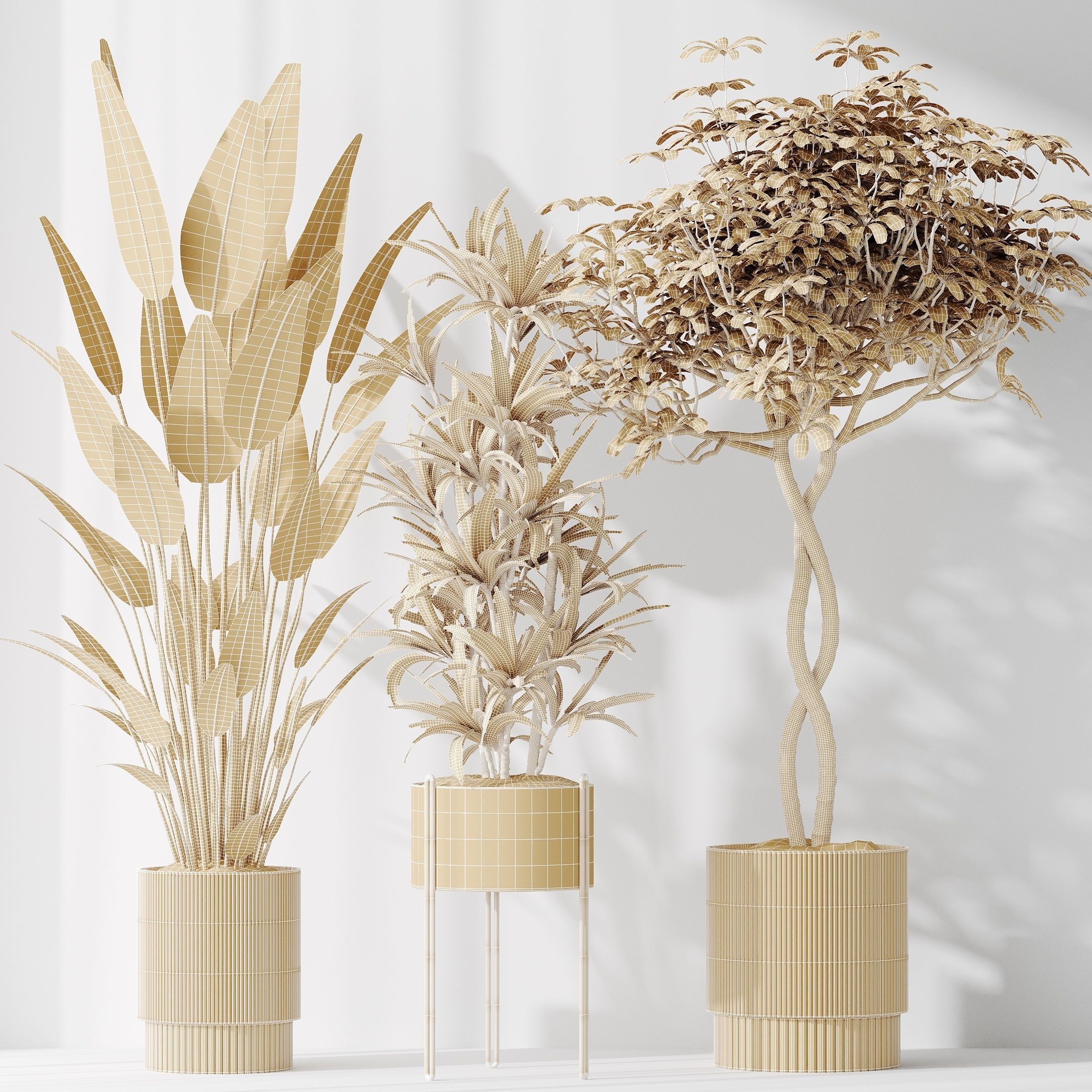 12 Different SETS of Plant Indoor SET VOL151 3D Model Collection_50