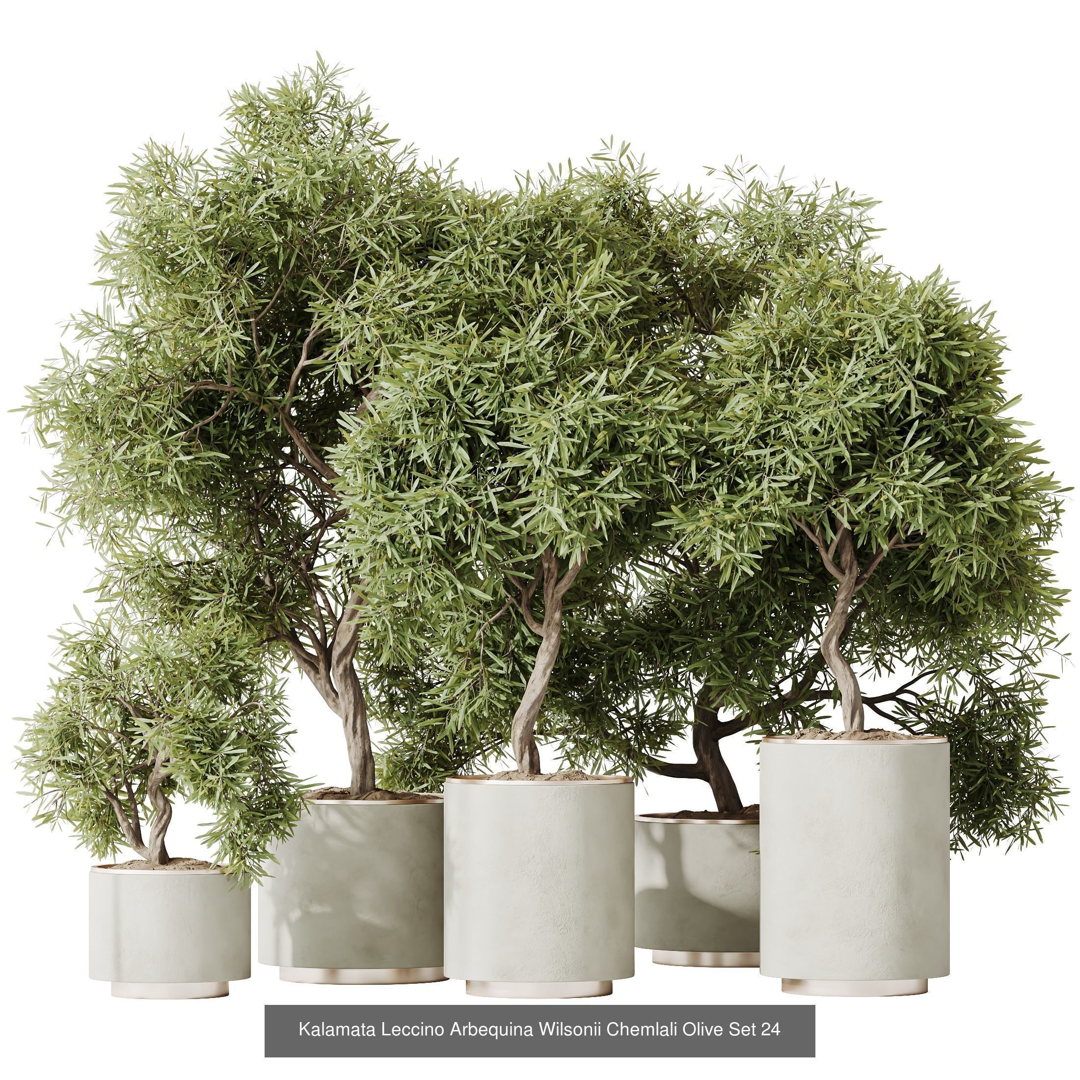 12 Different SETS of Plant Indoor SET VOL151 3D Model Collection_2