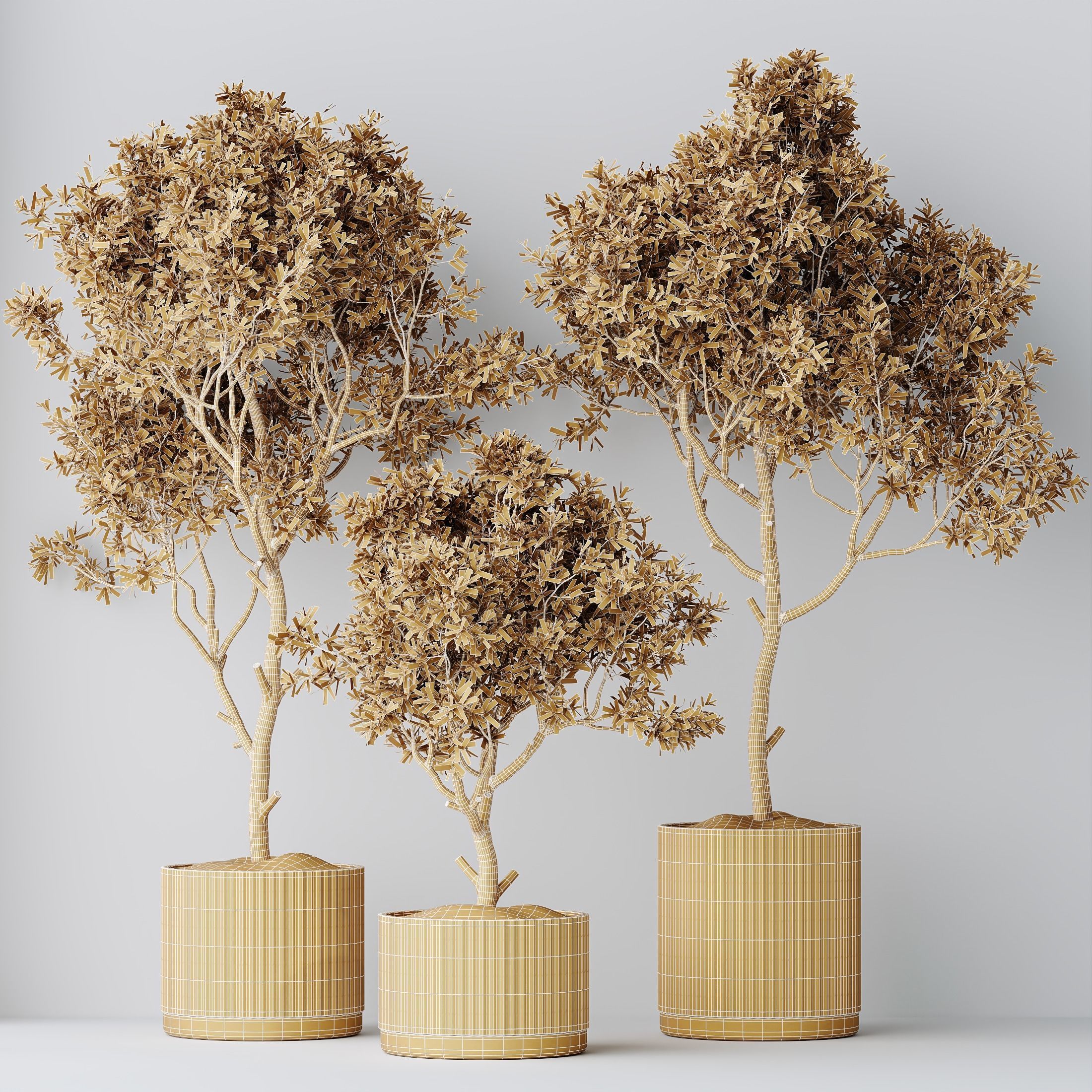 12 Different SETS of Plant Indoor SET VOL151 3D Model Collection_48