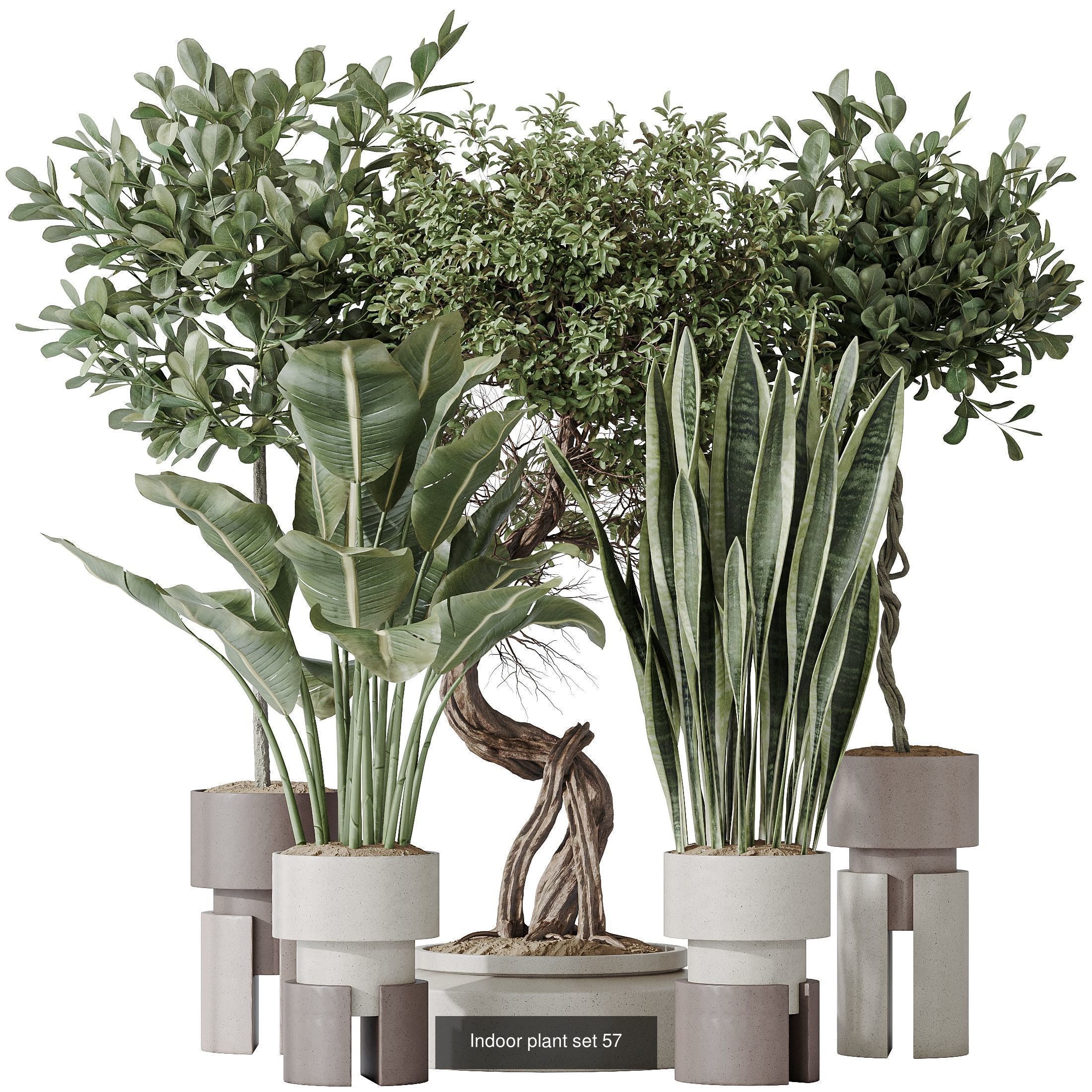 12 Different SETS of Plant Indoor SET VOL151 3D Model Collection_9