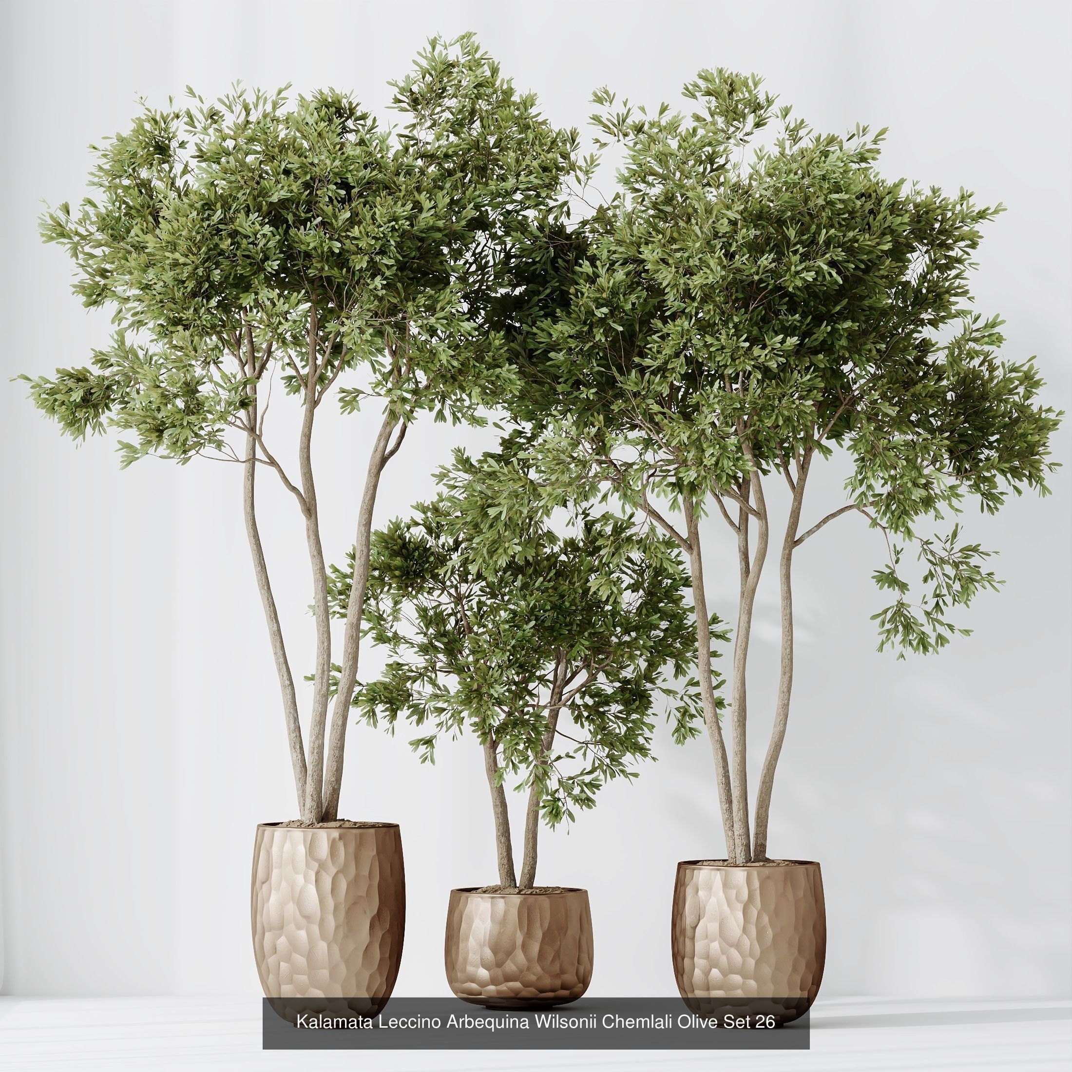 12 Different SETS of Plant Indoor SET VOL151 3D Model Collection_6