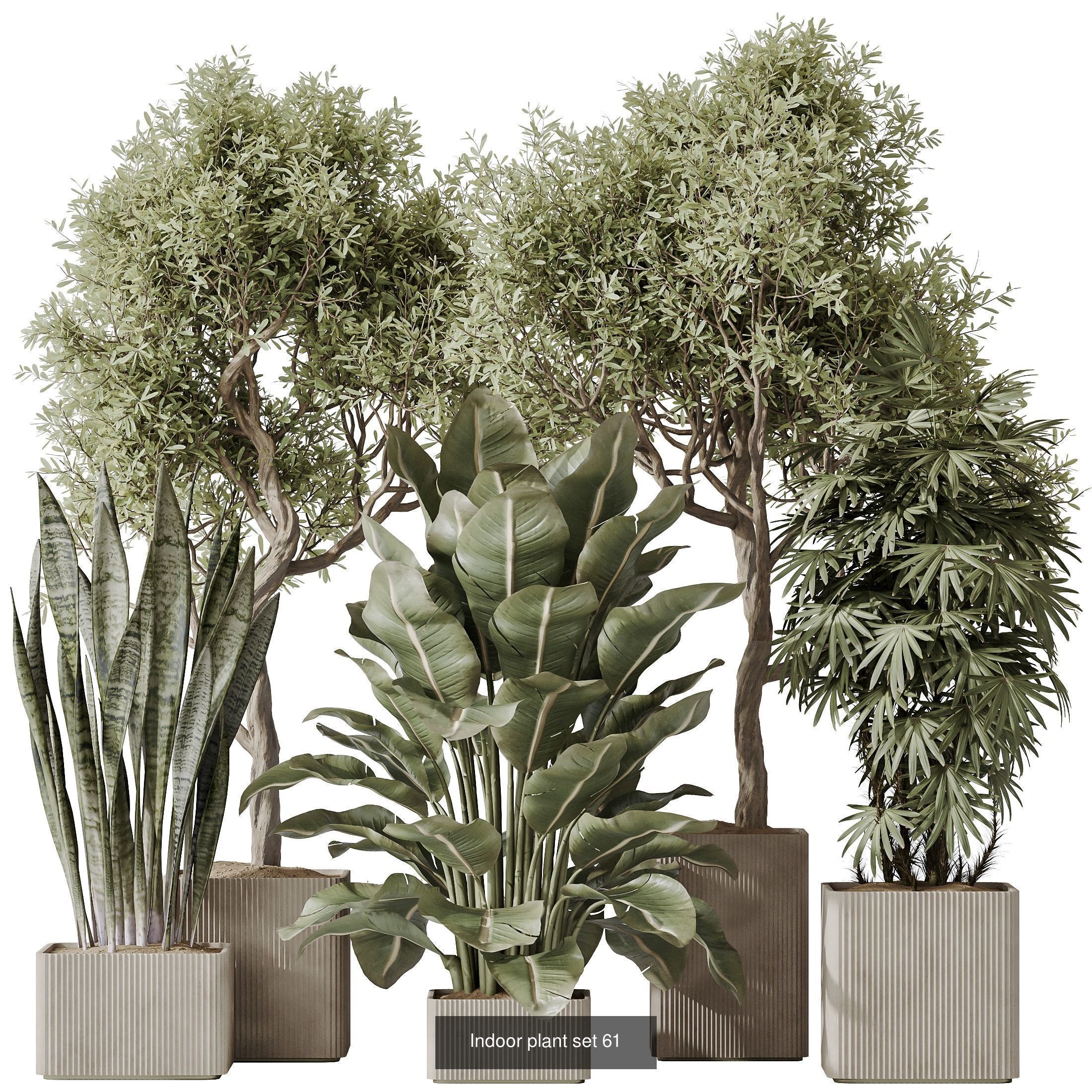 12 Different SETS of Plant Indoor SET VOL151 3D Model Collection_11