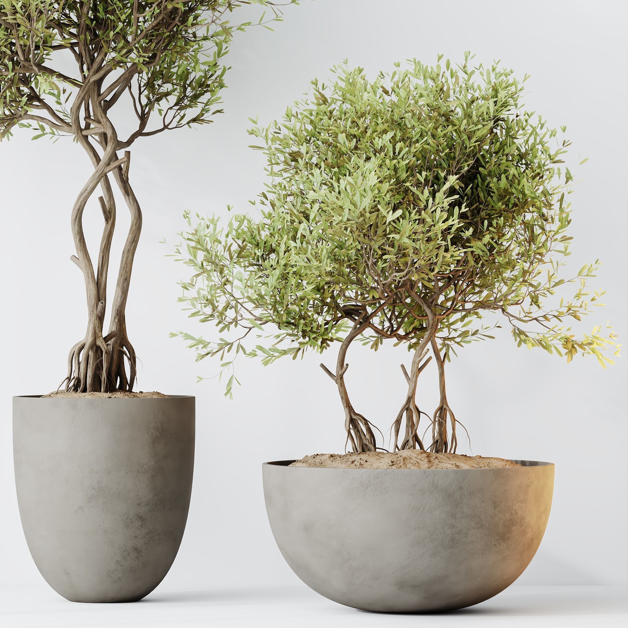 12 Different SETS of Plant Indoor SET VOL151 3D Model Collection_26