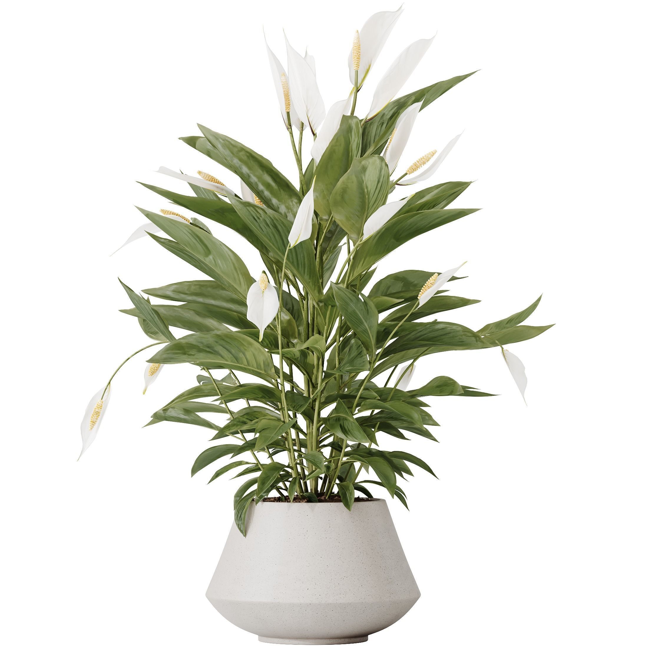 12 Different SETS of Plant Indoor SET VOL151 3D Model Collection_13