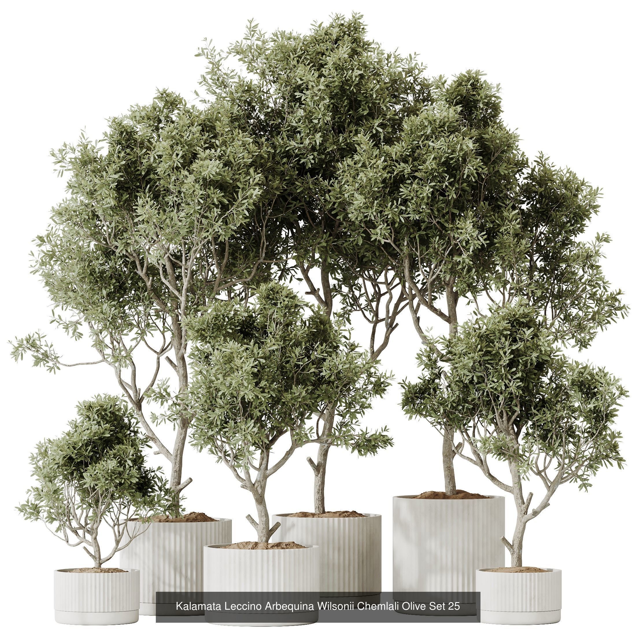 12 Different SETS of Plant Indoor SET VOL151 3D Model Collection_3