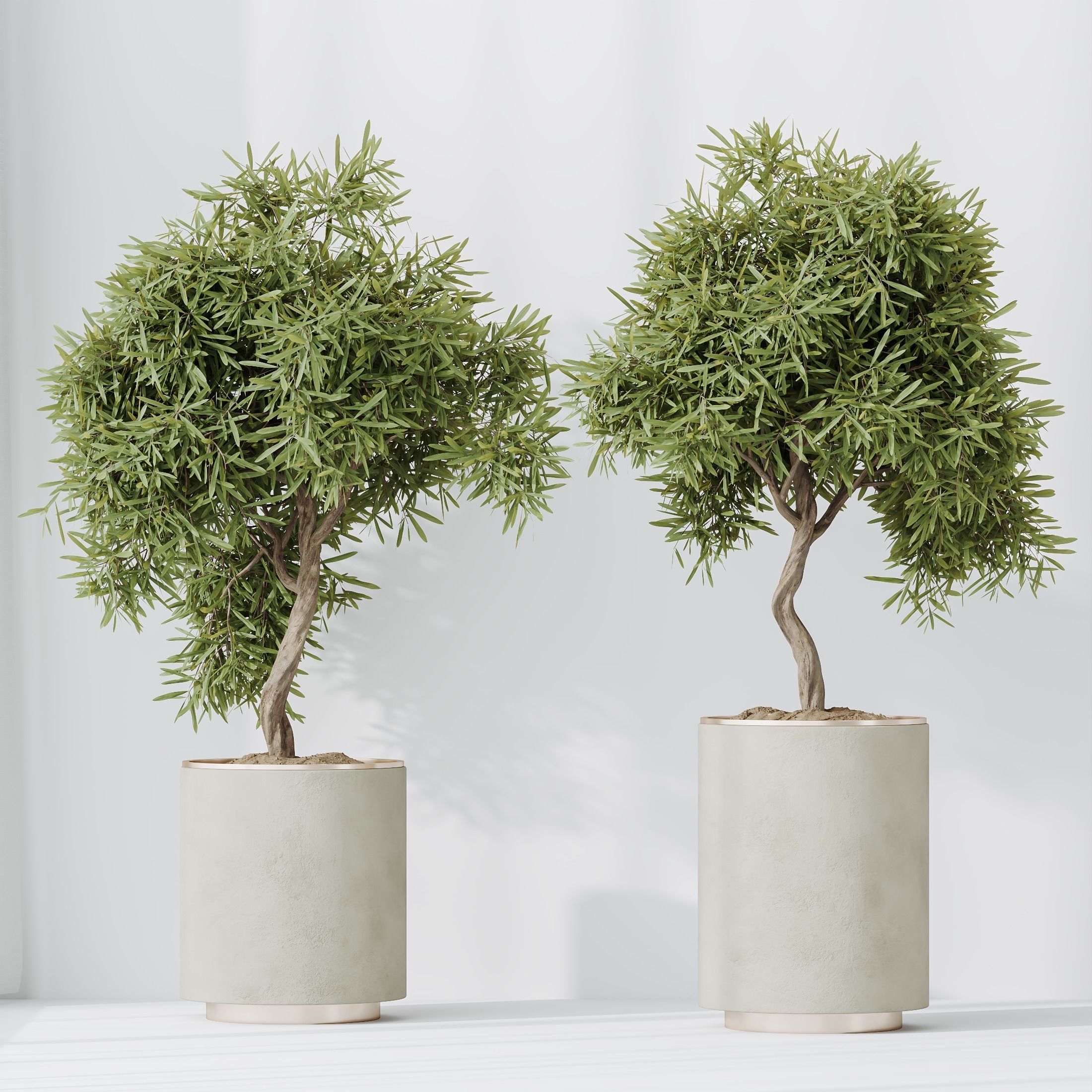 12 Different SETS of Plant Indoor SET VOL151 3D Model Collection_19