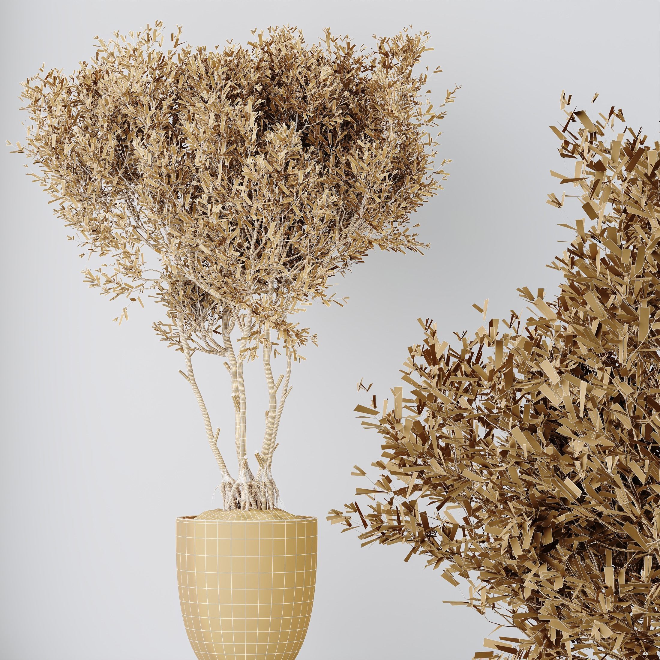 12 Different SETS of Plant Indoor SET VOL151 3D Model Collection_52