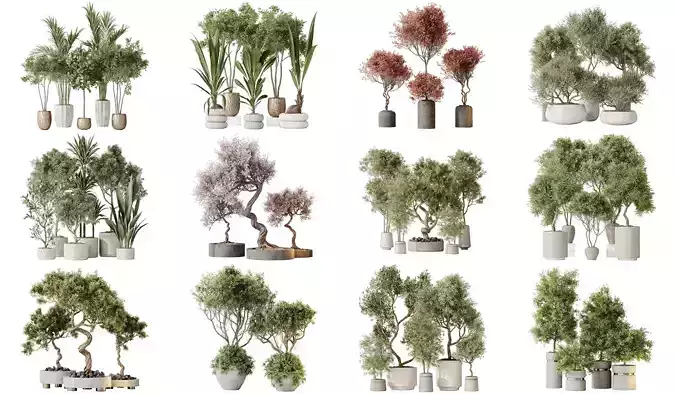 12 Different SETS of Plant Indoor SET VOL152 3D Model Collection