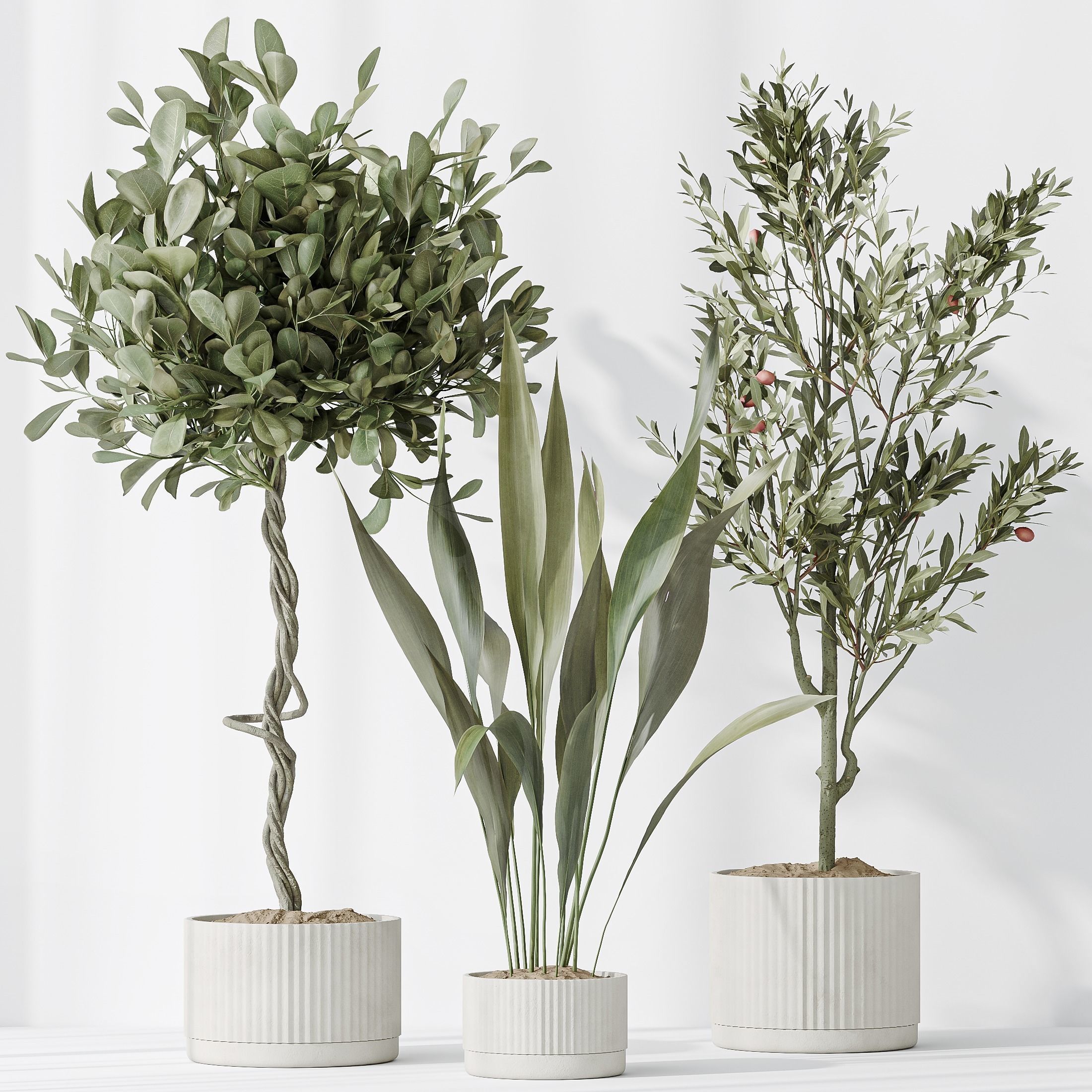 12 Different SETS of Plant Indoor SET VOL153 3D Model Collection_46