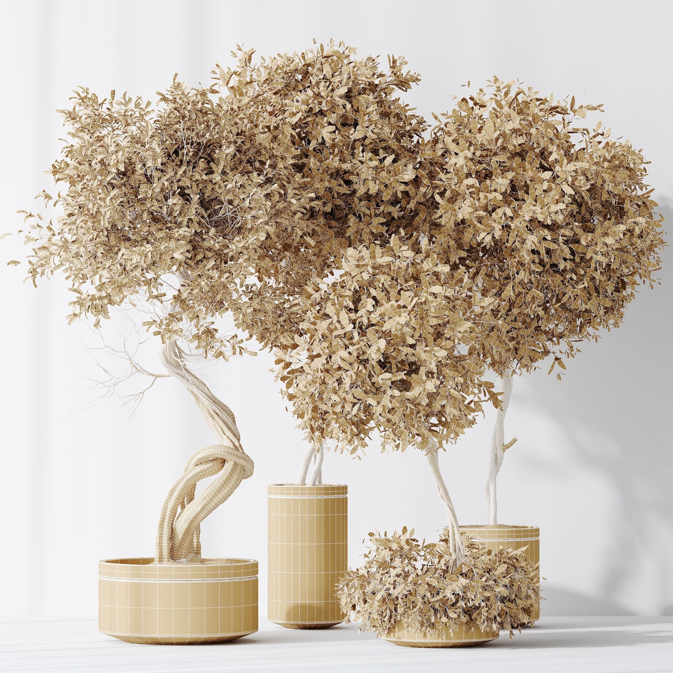 12 Different SETS of Plant Indoor SET VOL153 3D Model Collection_53