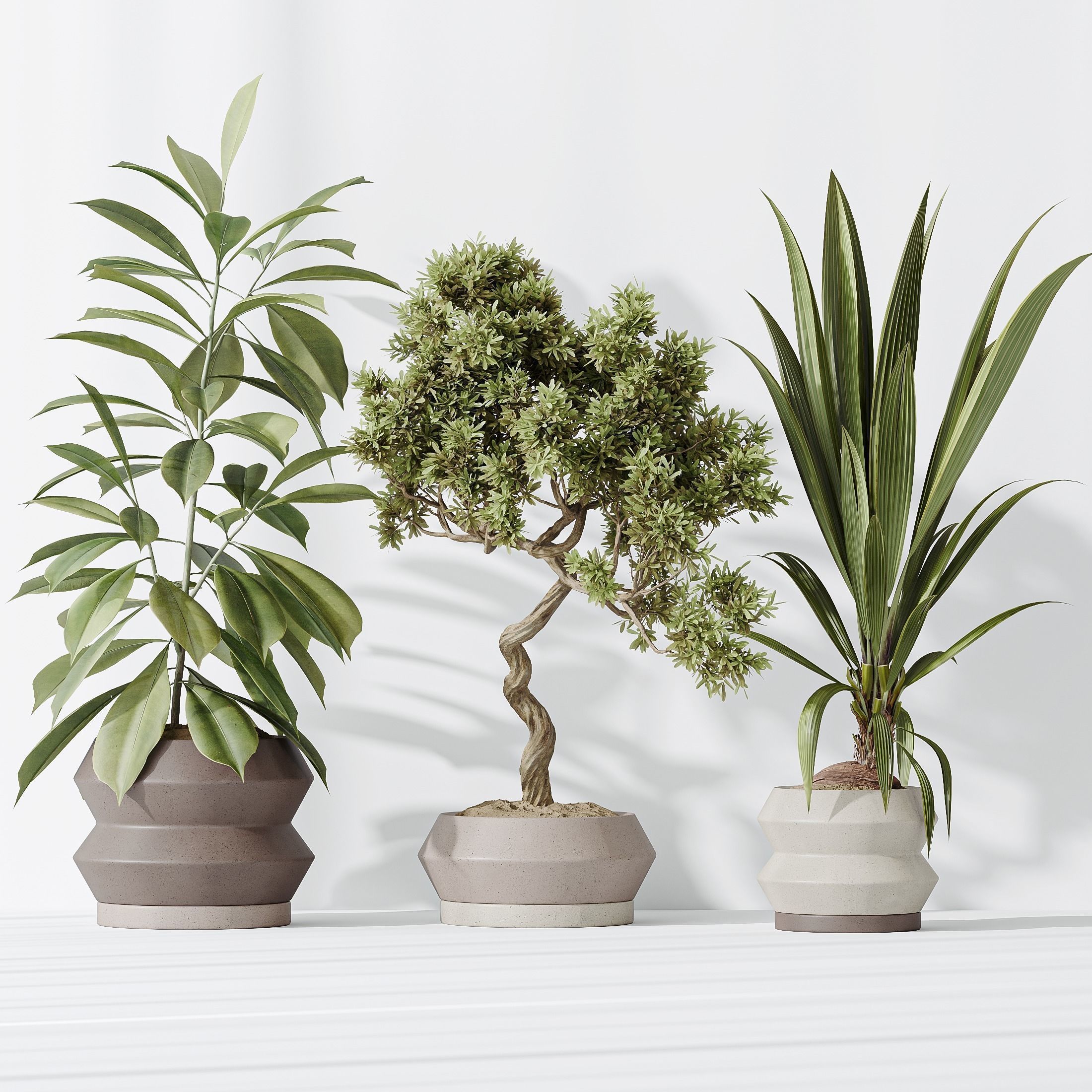 12 Different SETS of Plant Indoor SET VOL153 3D Model Collection_27
