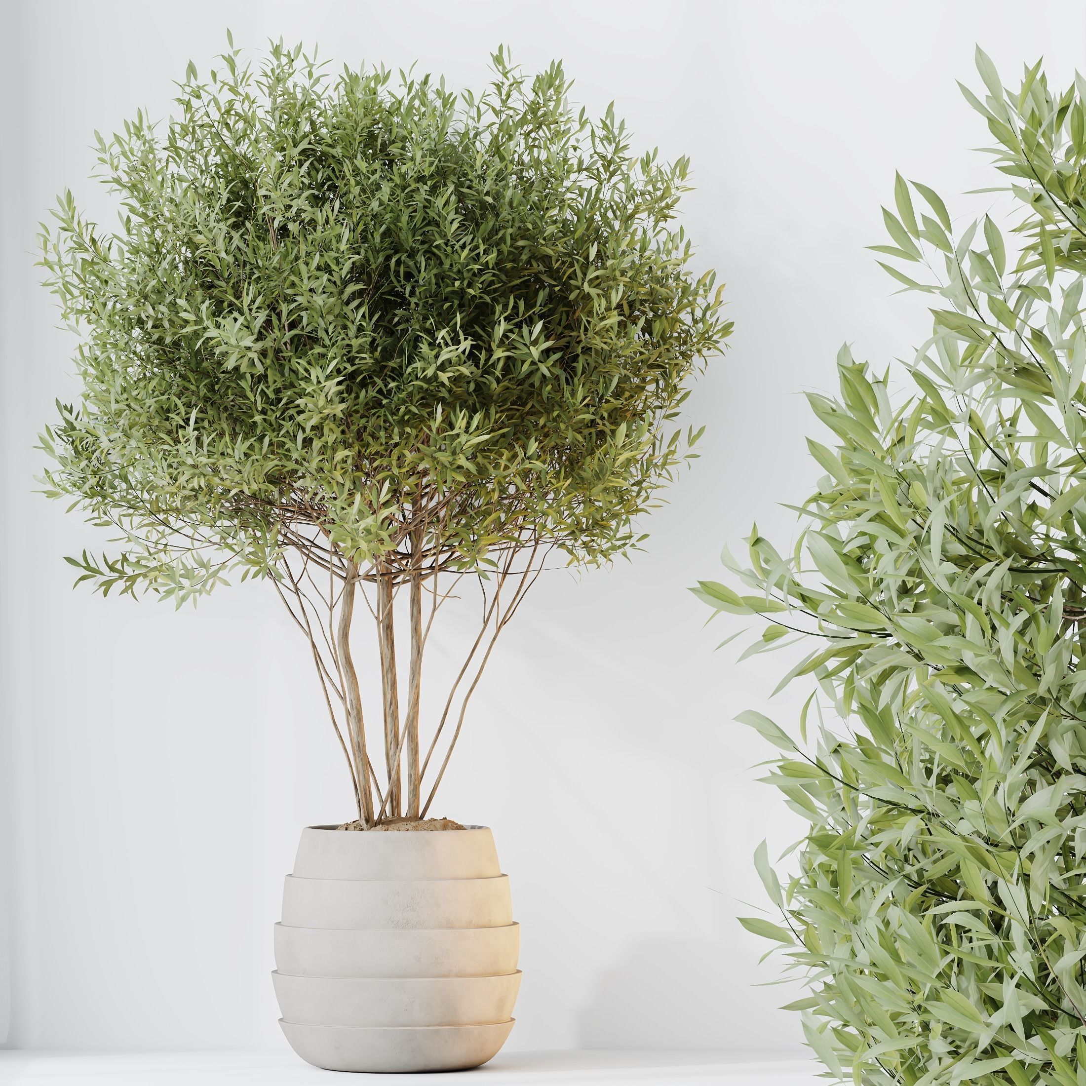 12 Different SETS of Plant Indoor SET VOL153 3D Model Collection_33