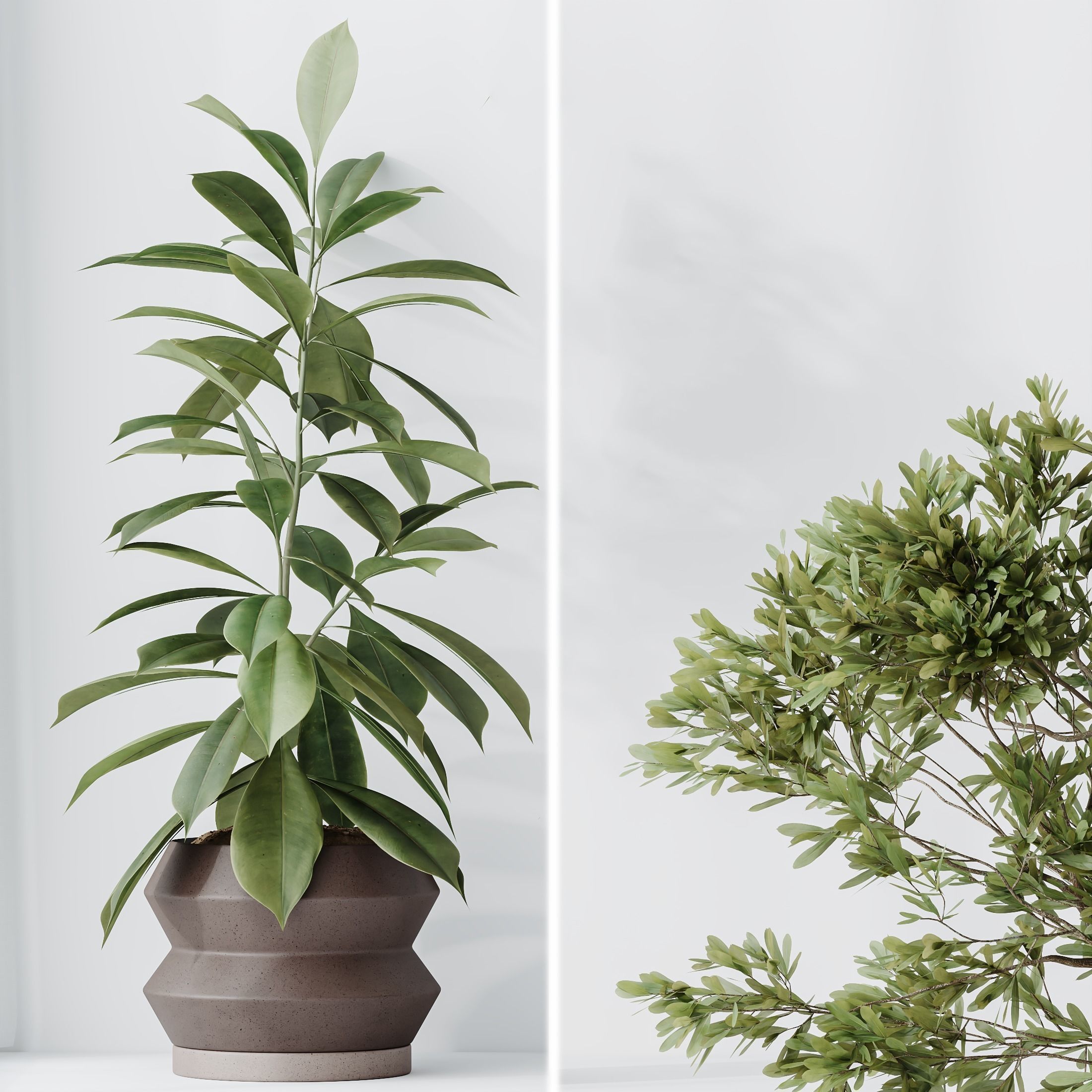 12 Different SETS of Plant Indoor SET VOL153 3D Model Collection_19