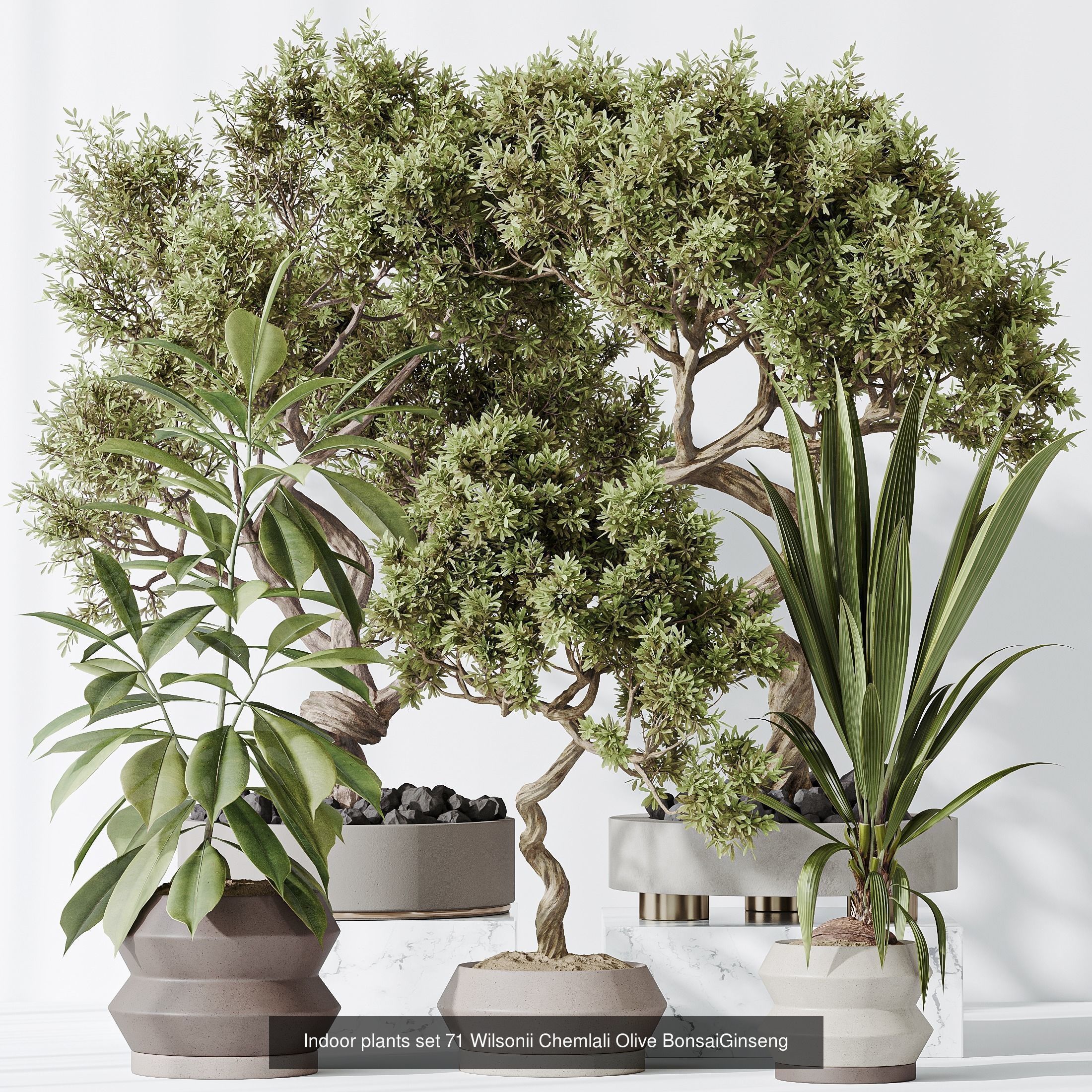 12 Different SETS of Plant Indoor SET VOL153 3D Model Collection_9