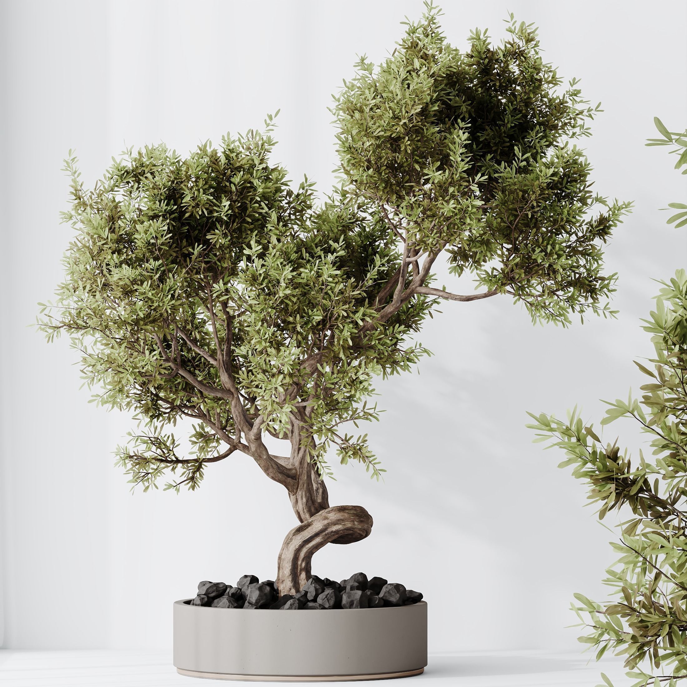 12 Different SETS of Plant Indoor SET VOL153 3D Model Collection_36